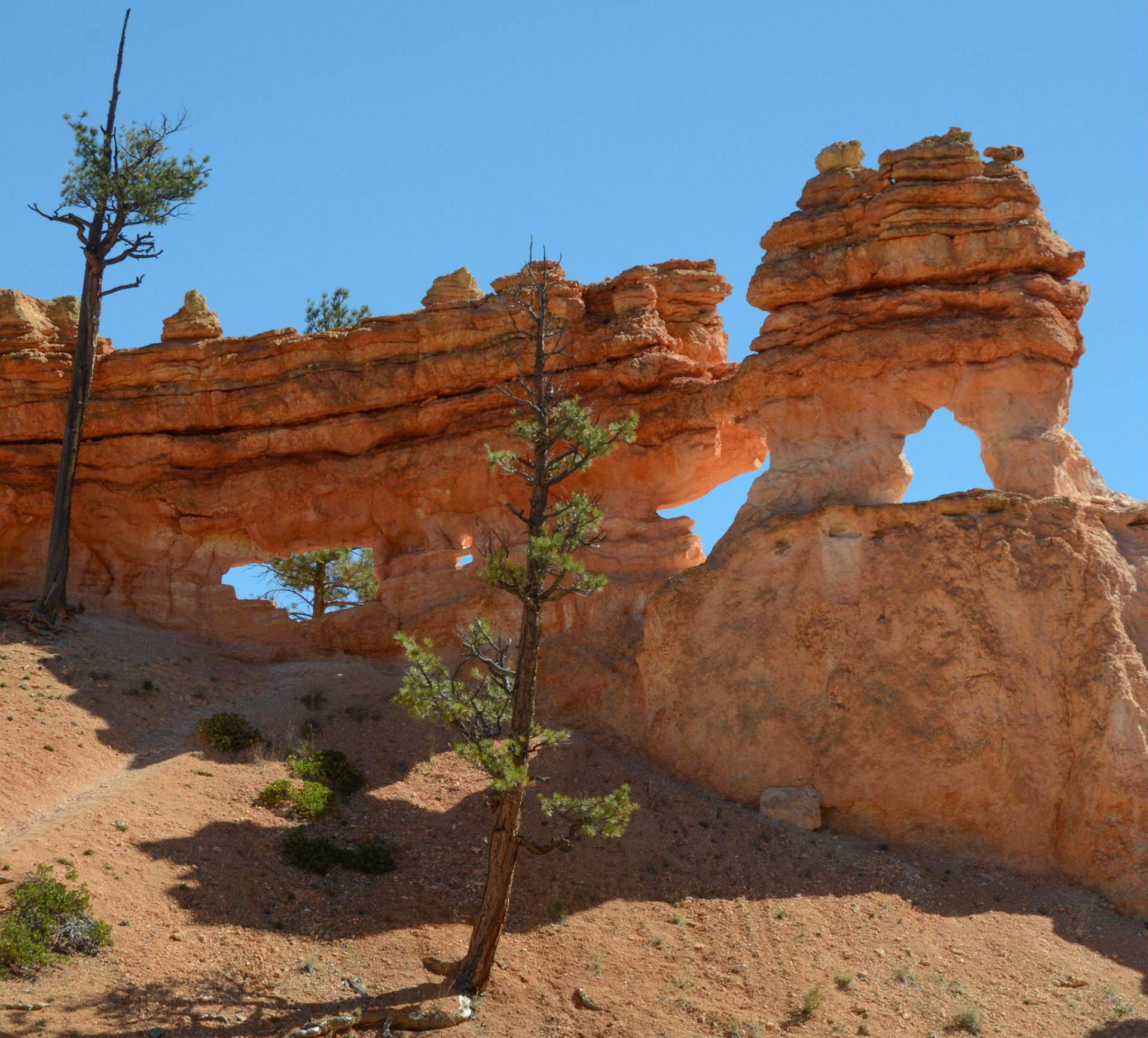 Coral Pink Sand Dunes State Park, Utah