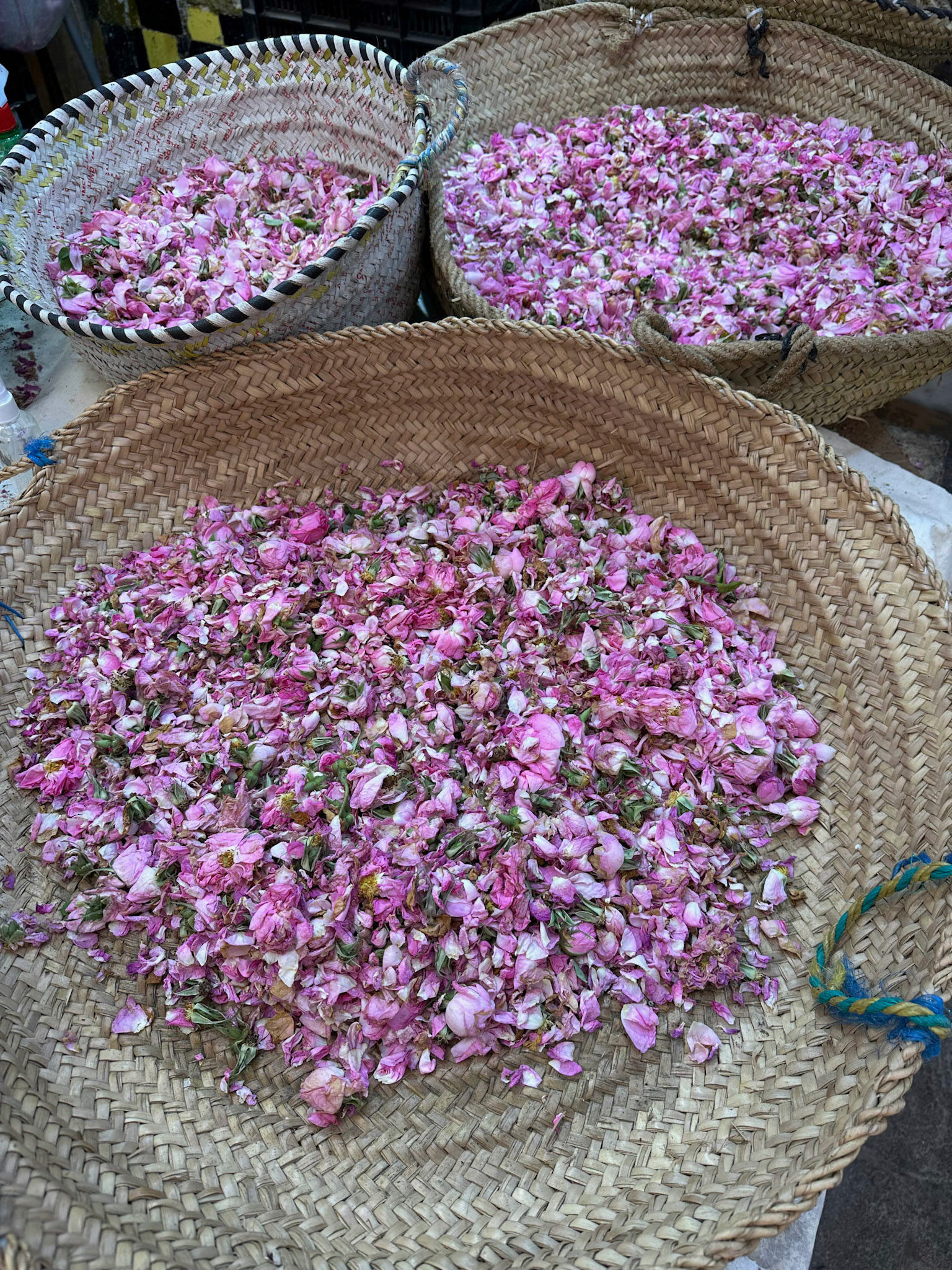 Botanicals Shop, Fes Medina