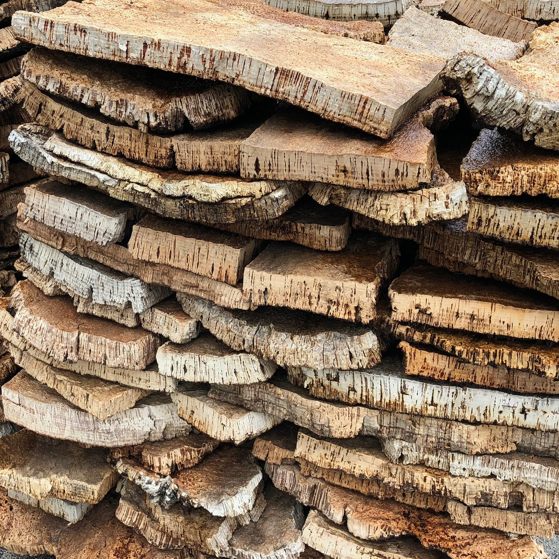 Cork Slabs, Portugal