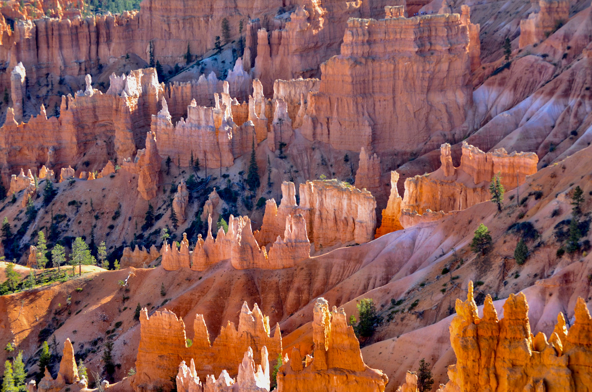 Bryce Canyon N.P.