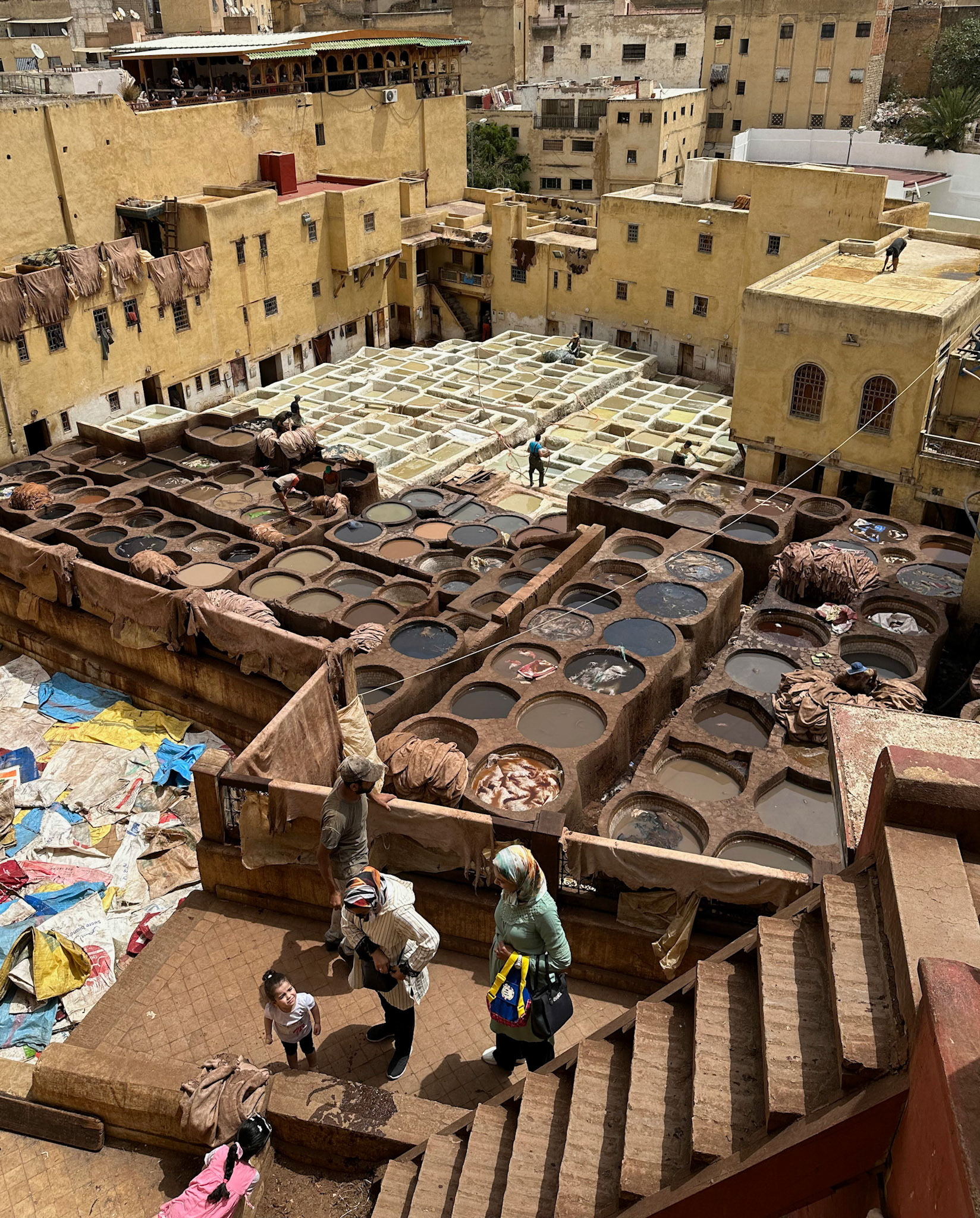Chouara Tannery, Fes Medina