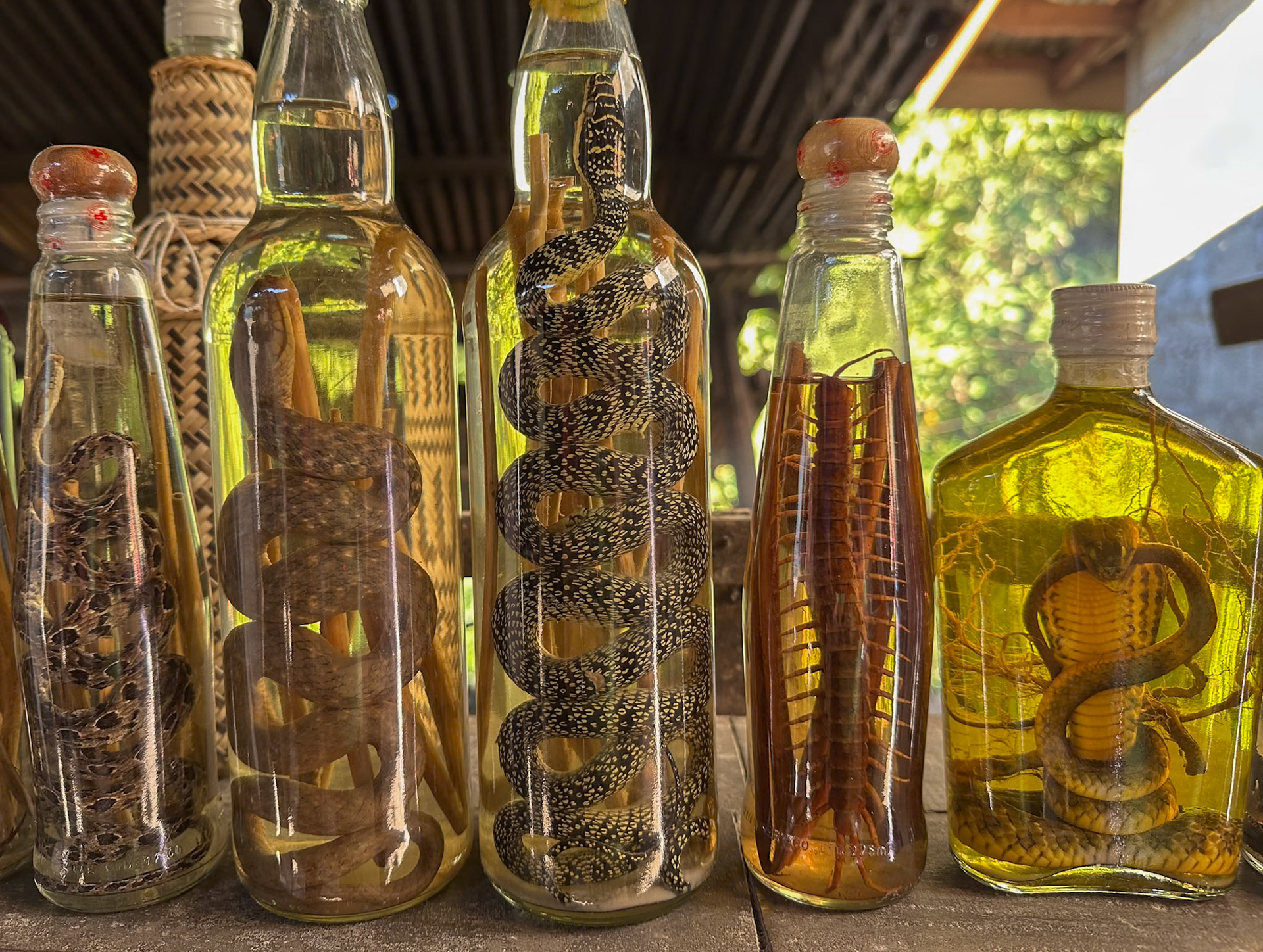 Laotian Rice Liquor