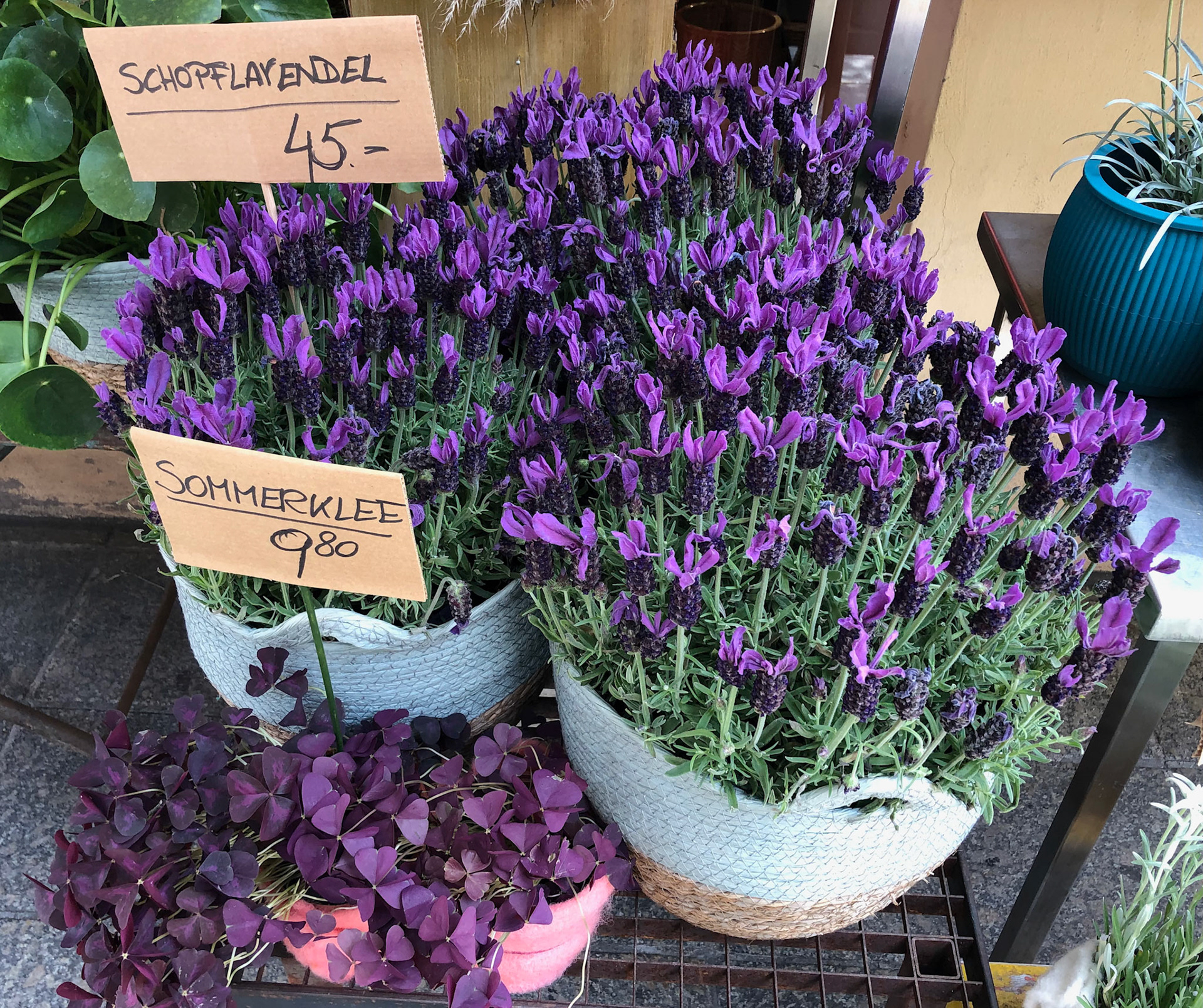 Florist Shop, Innsbruck, Austria