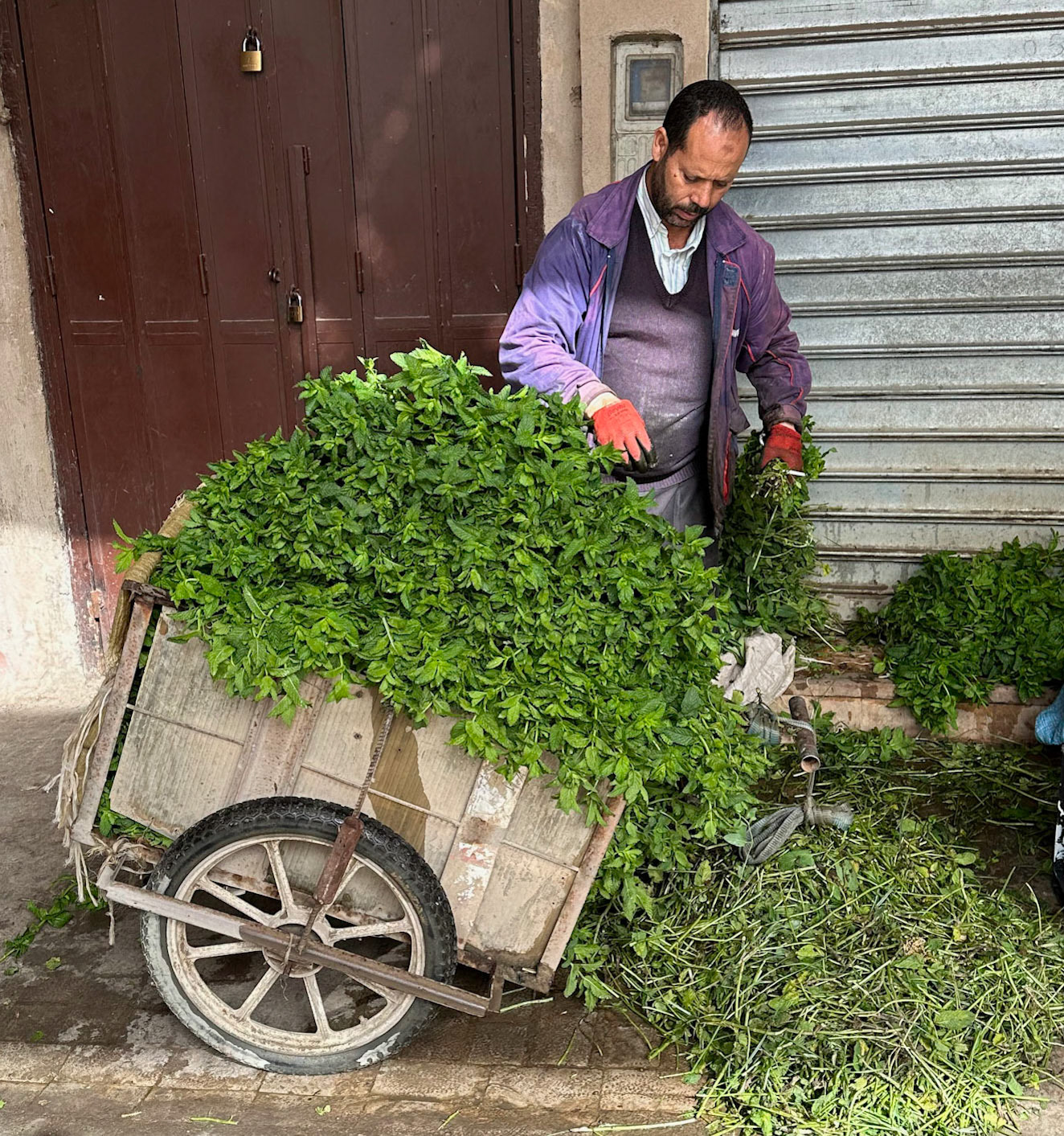 Mint Seller, Fes Medina