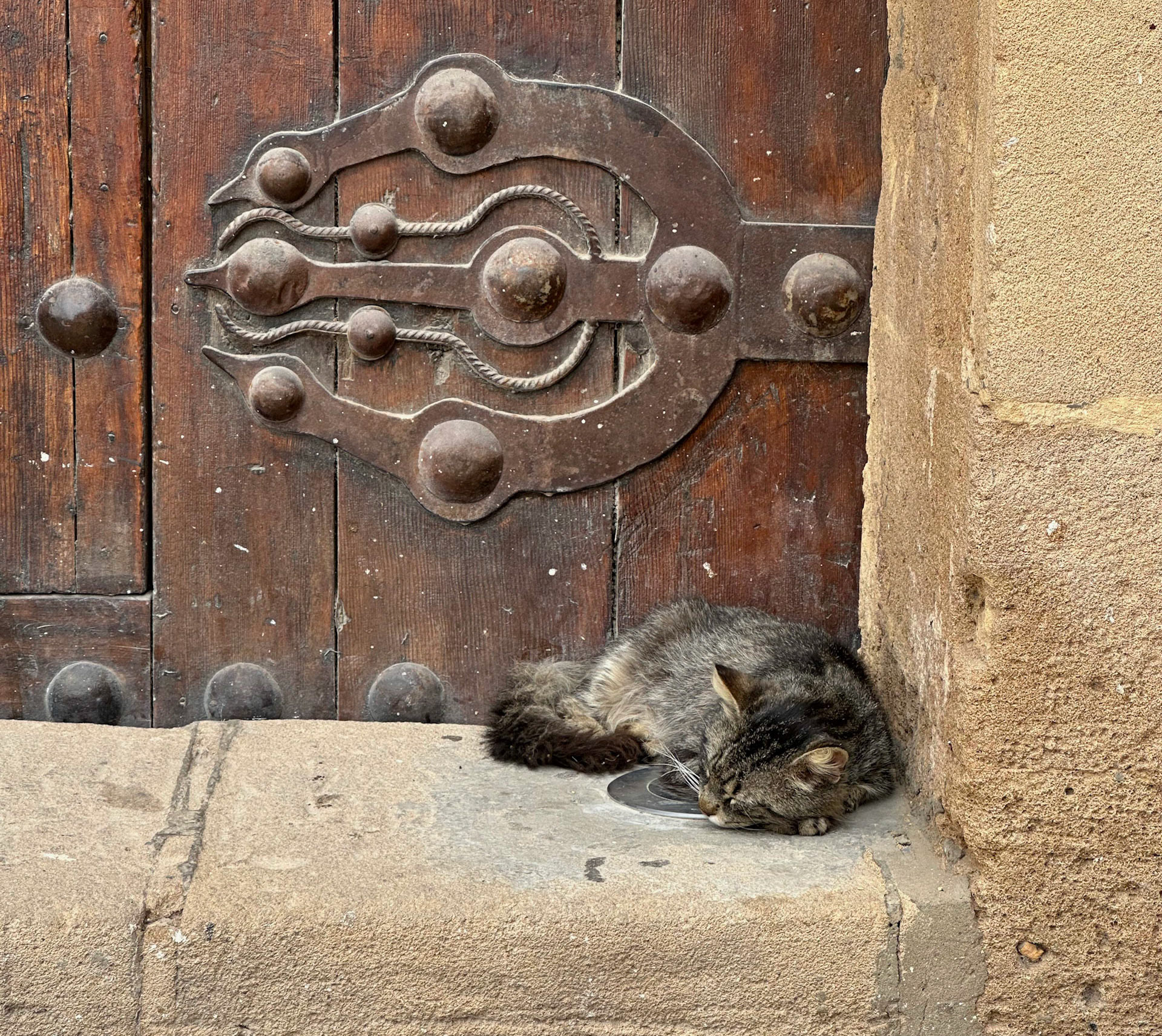 Gate Keeper of Kasbah des Oudayas, Rabat