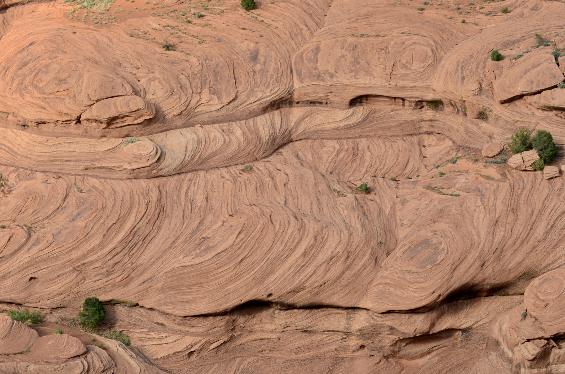 Cliff Dwellings, Canyon de Chelly N.M.