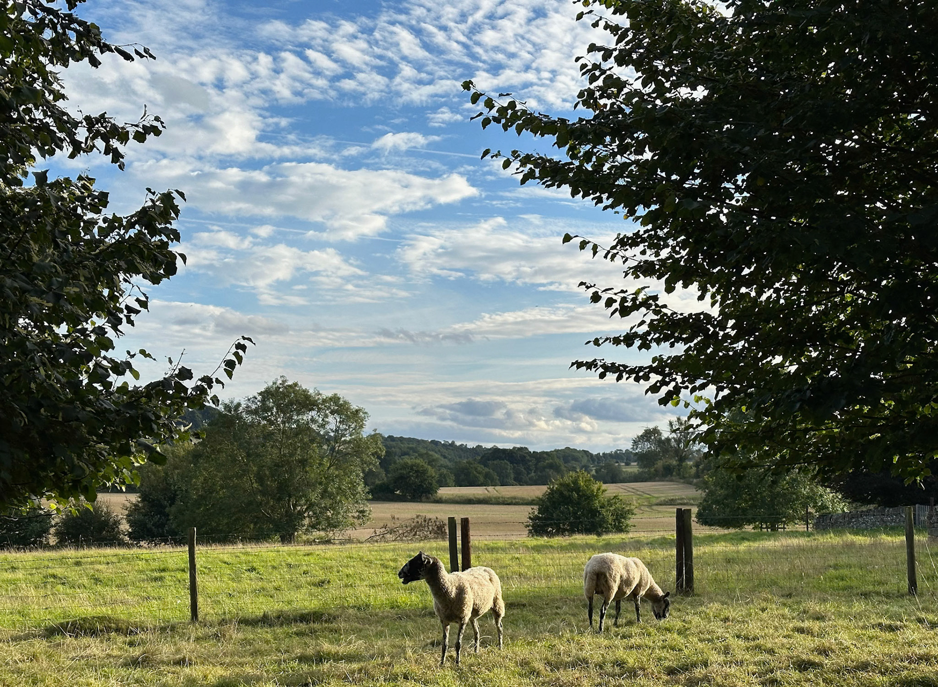 Lower Home Ground, Guiting Power
