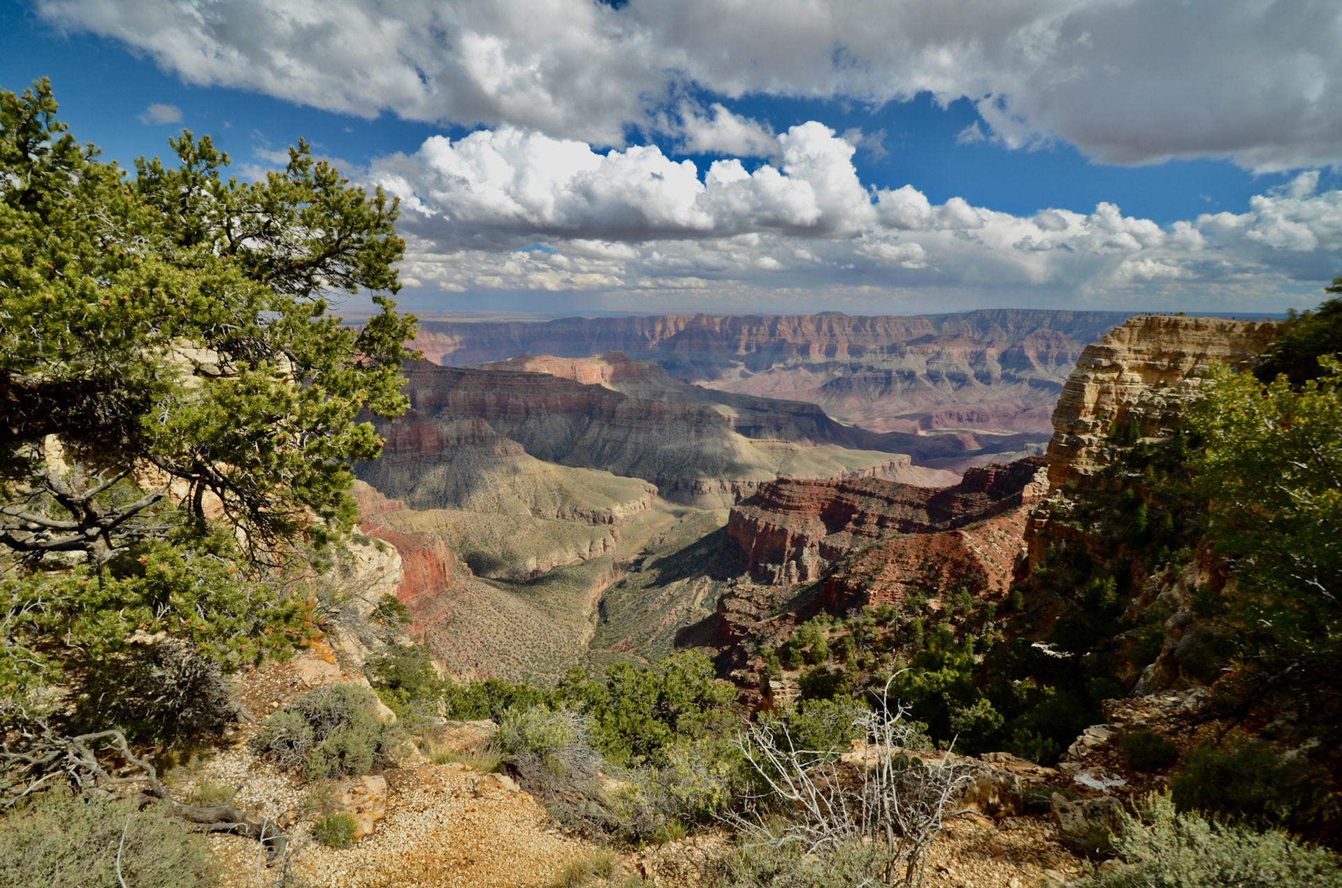 Grand Canyon North Rim