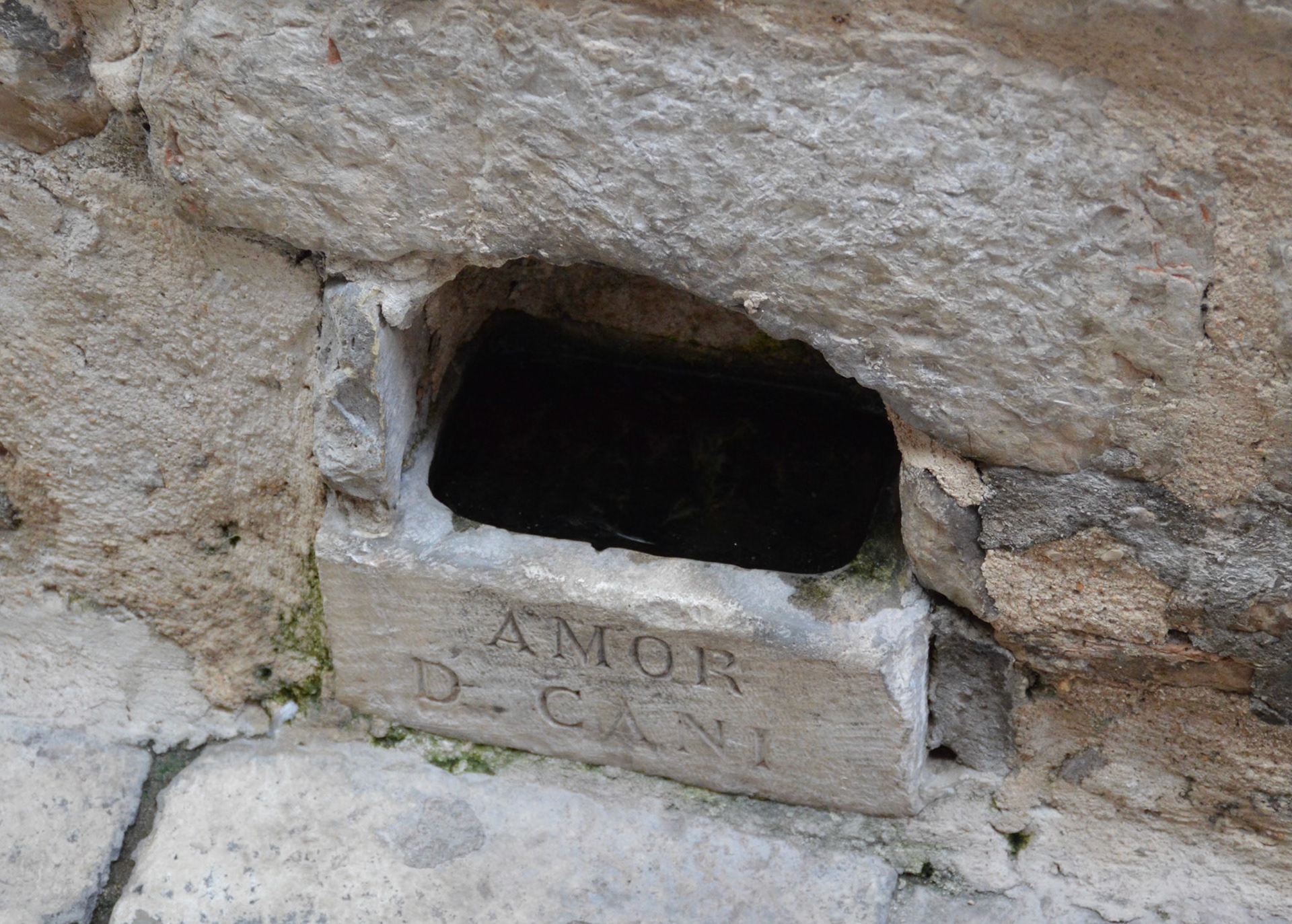 Dog Watering Point, Sibenik