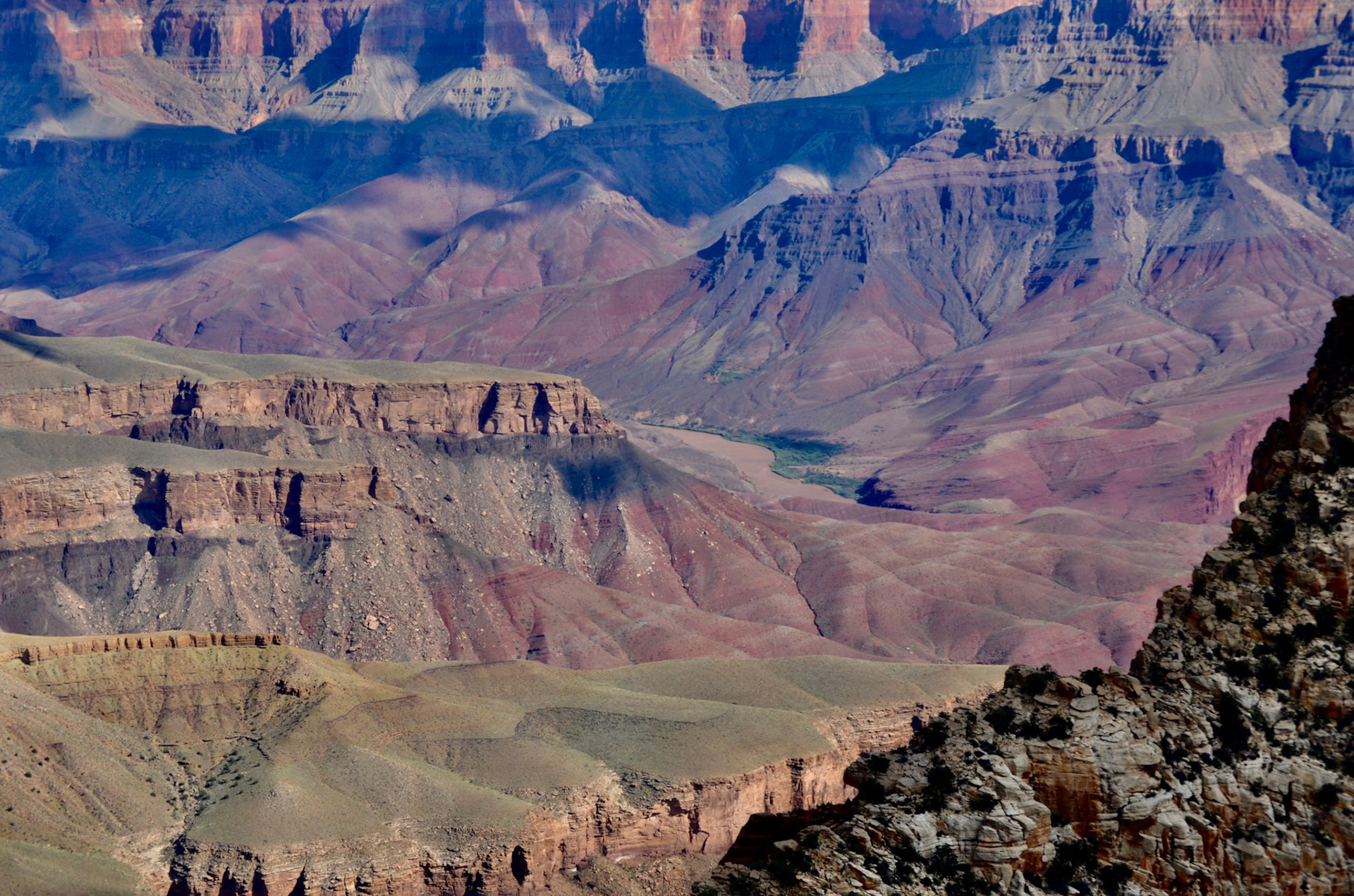 Grand Canyon N.P.