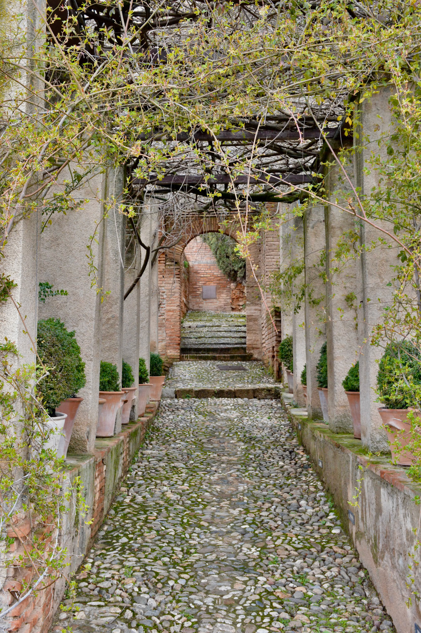 Garden of the Generalife, Grenada