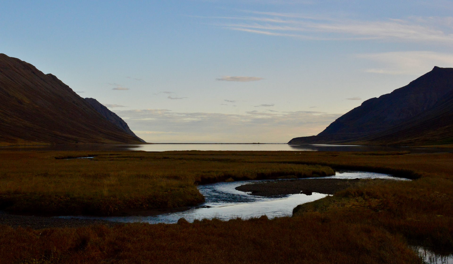 Dalvik