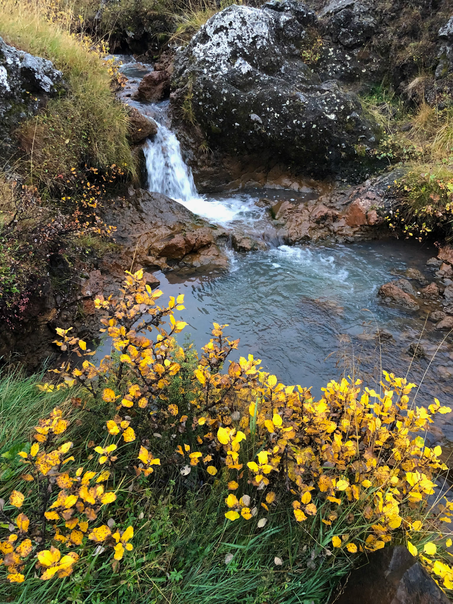 Fosshóll