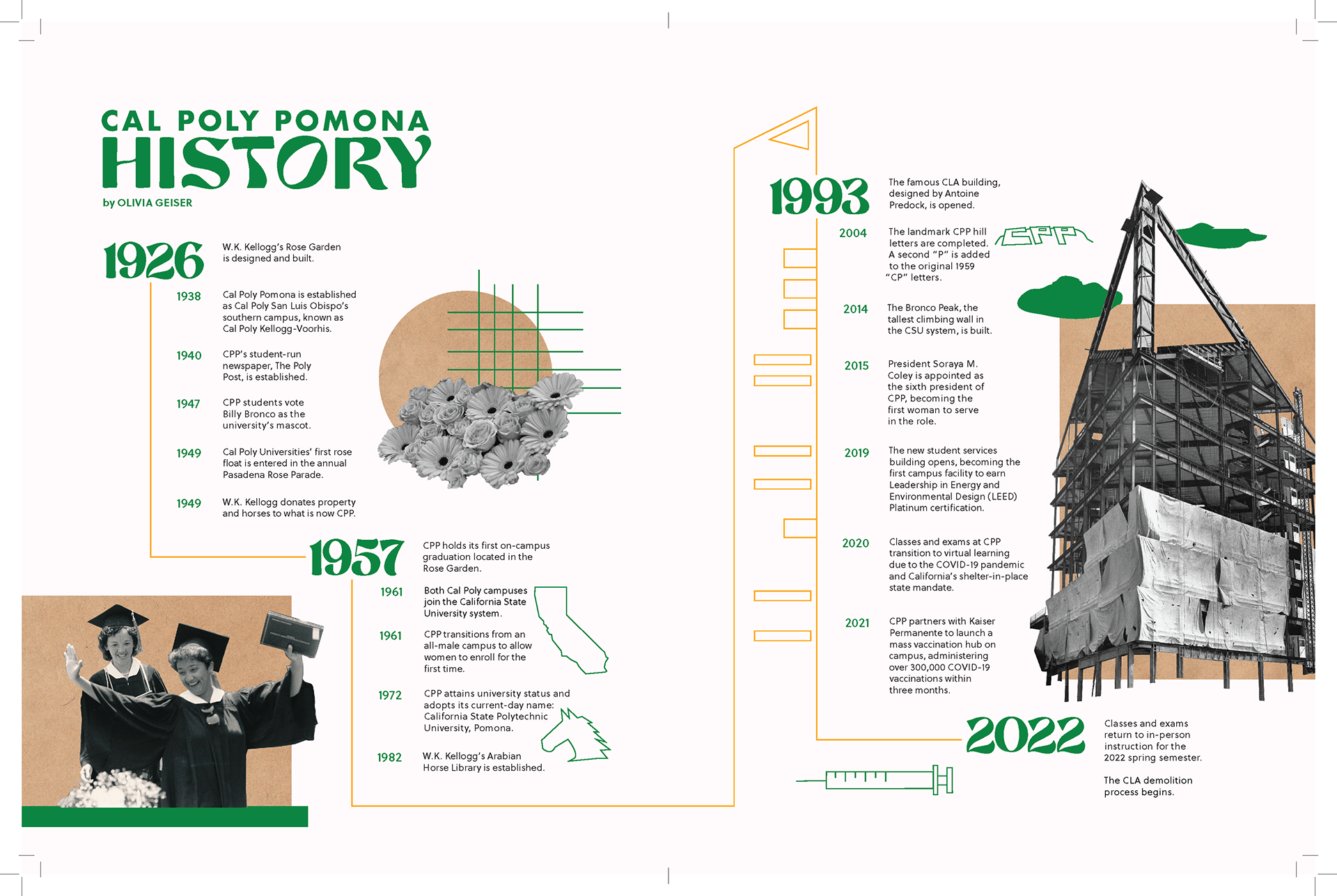 CPP Timeline *Award Winning Spread*