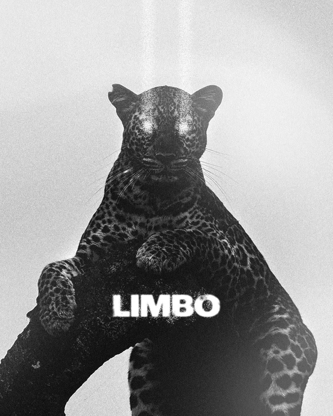 Limbo Poster