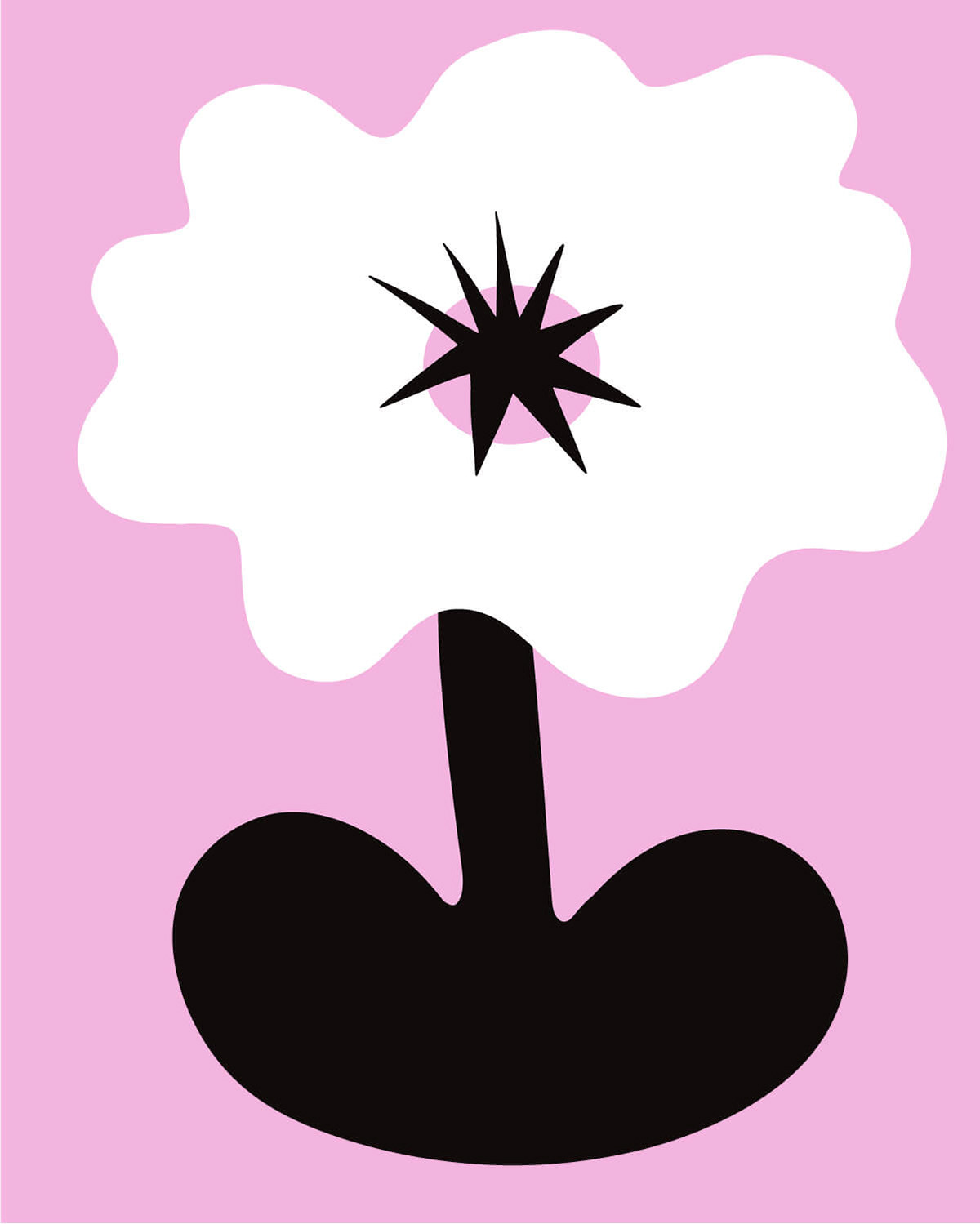 star flower