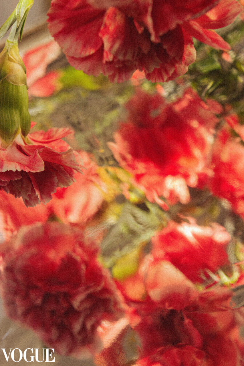 Golden Bloom - 01