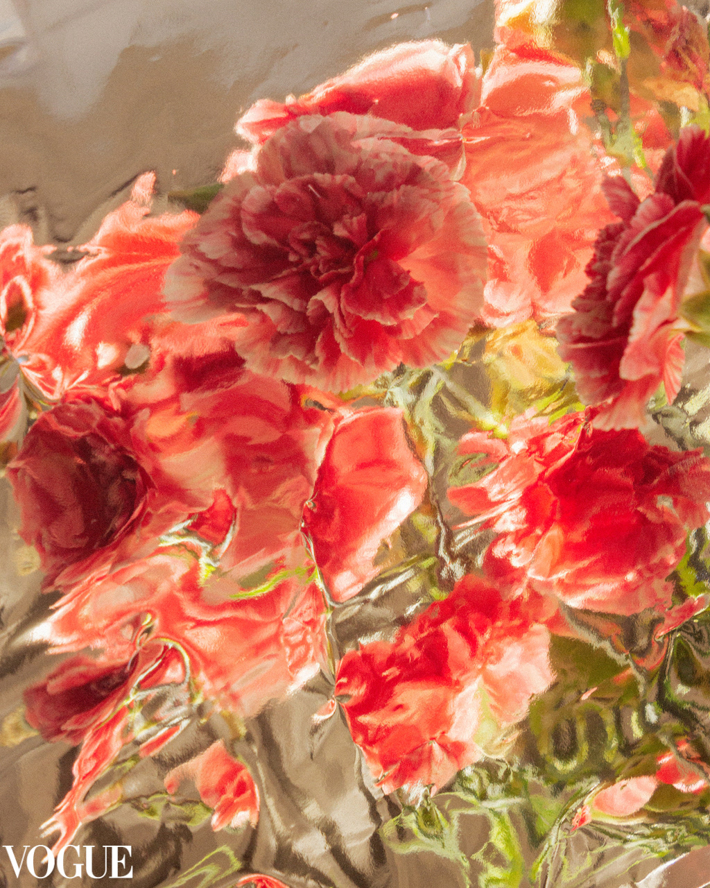 Golden Bloom - 06