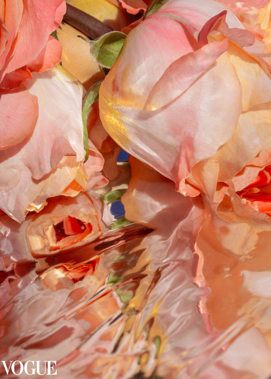 And Blossom - Reflection 02