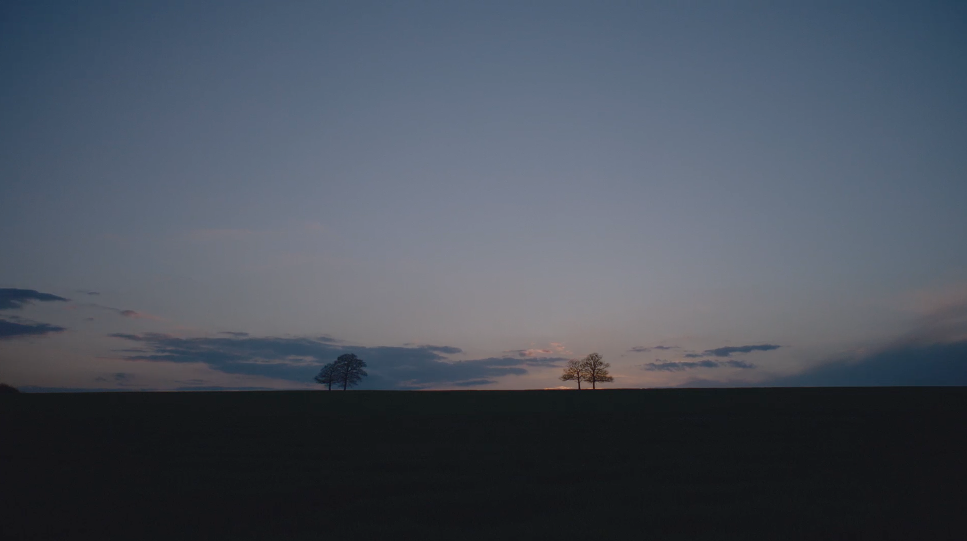 Kingdom of Us, Bafta, Netflix, Charlie Goodger, Lucy Cohen, Shanks, Landscape