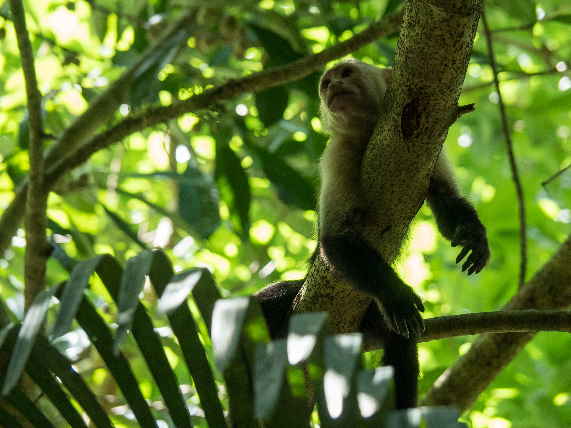 Costa Rica