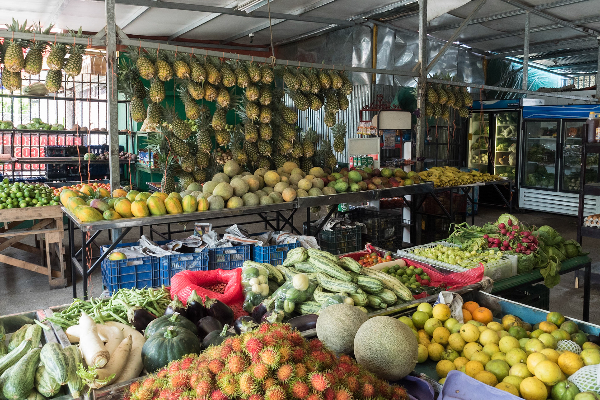 Costa Rica