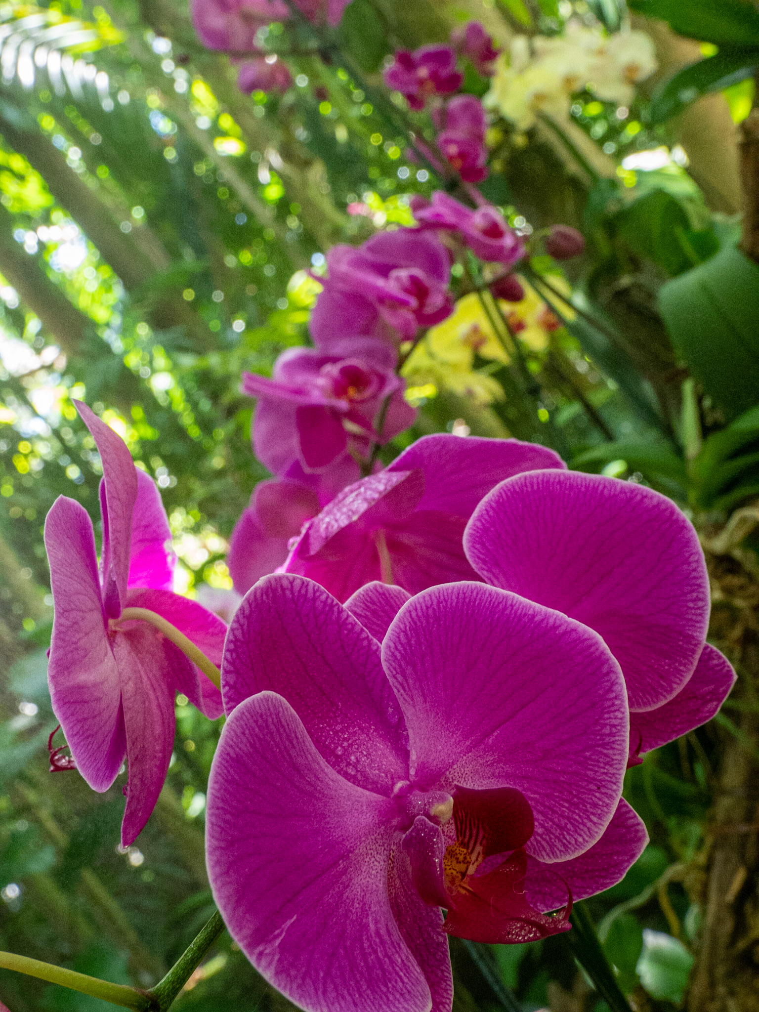 Miami, Florida, USA