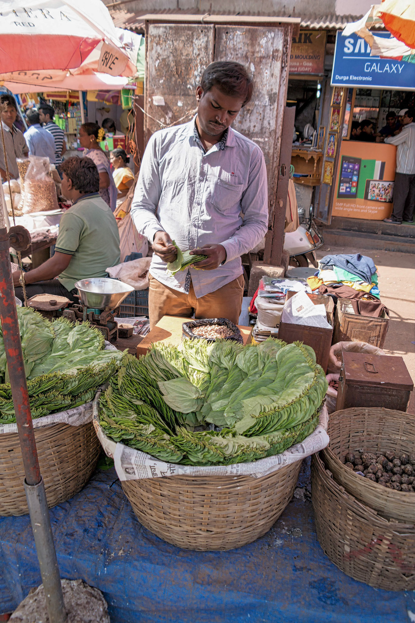 Goa, India