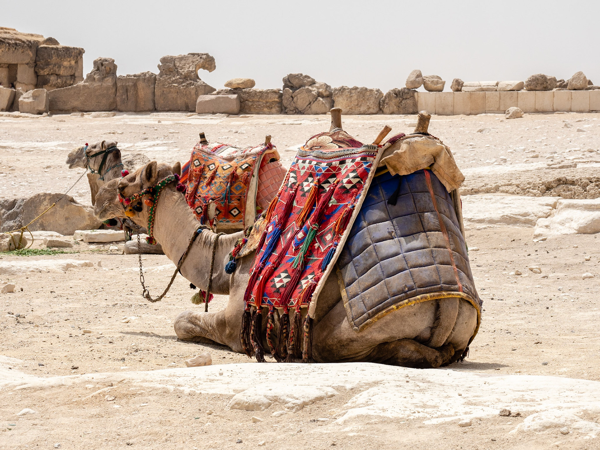 Cairo, Egypt