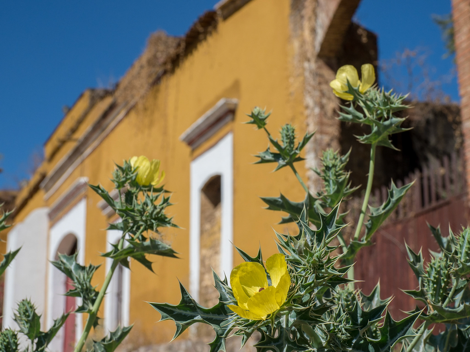 Oaxaca, Mexico