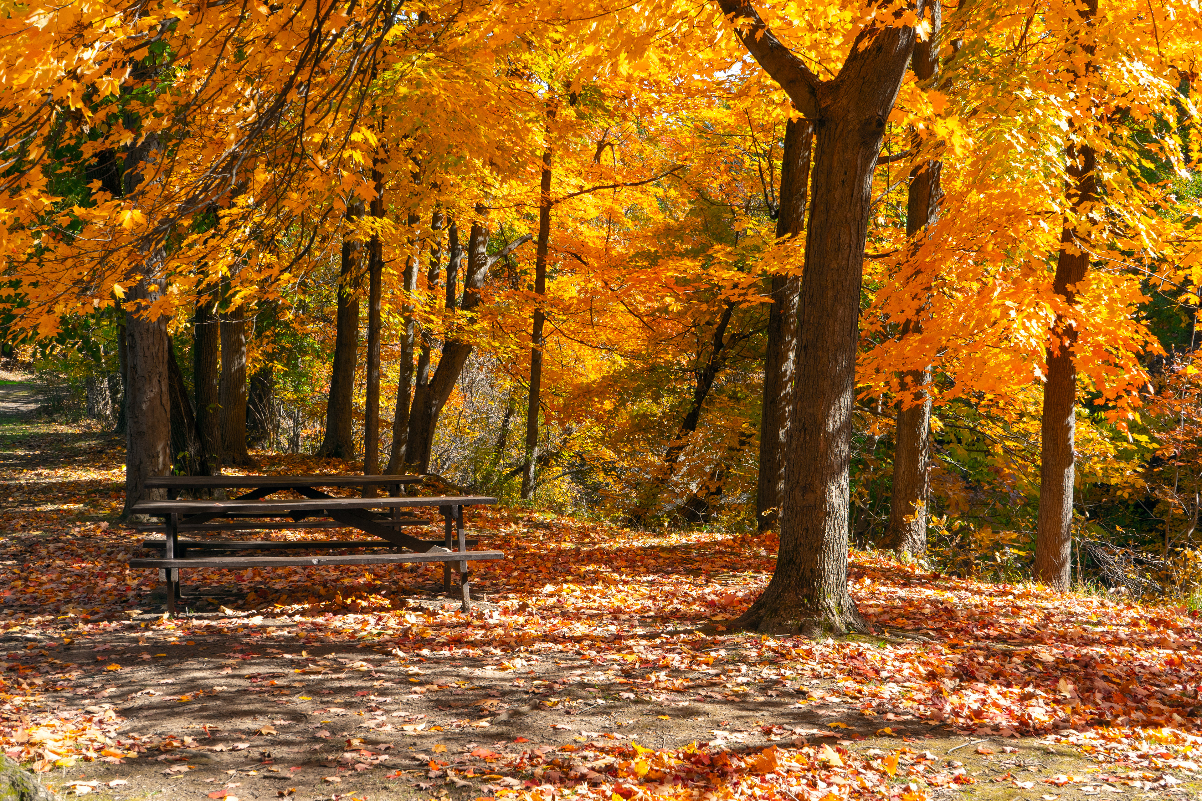 Tuxedo Park (Brooklyn Hts, OH)