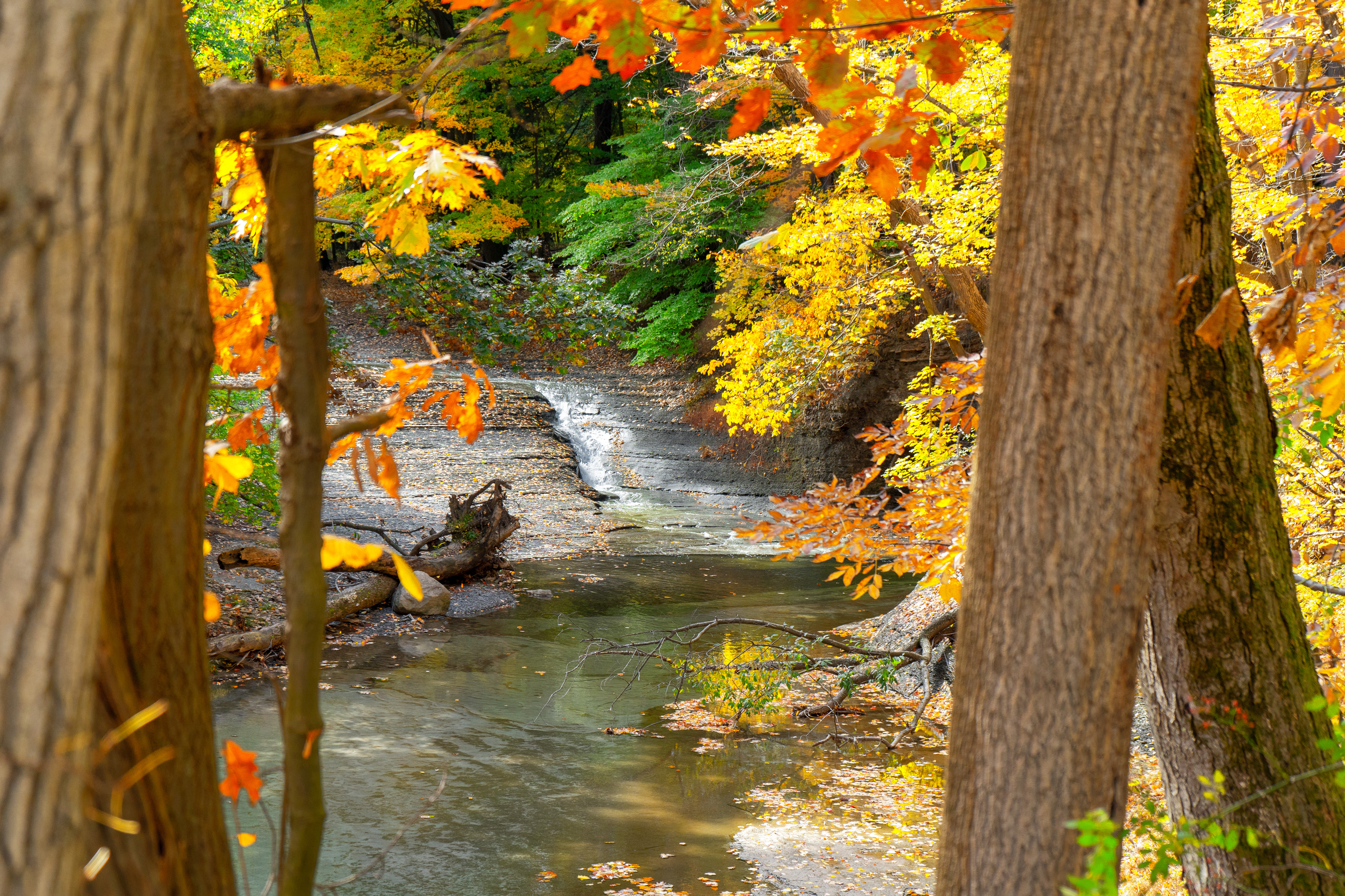 Tuxedo Park (Brooklyn Hts, OH)