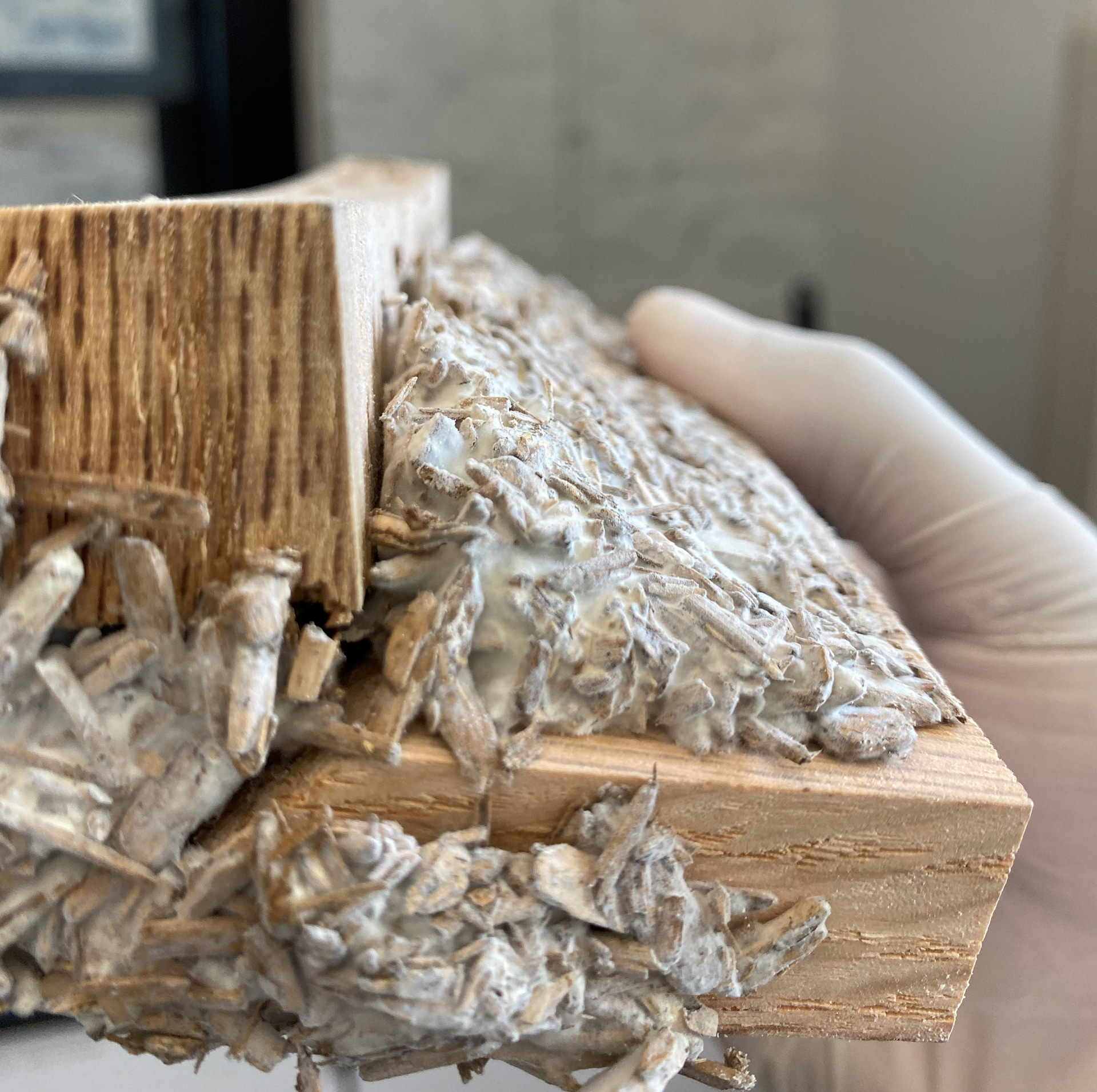Joint testing