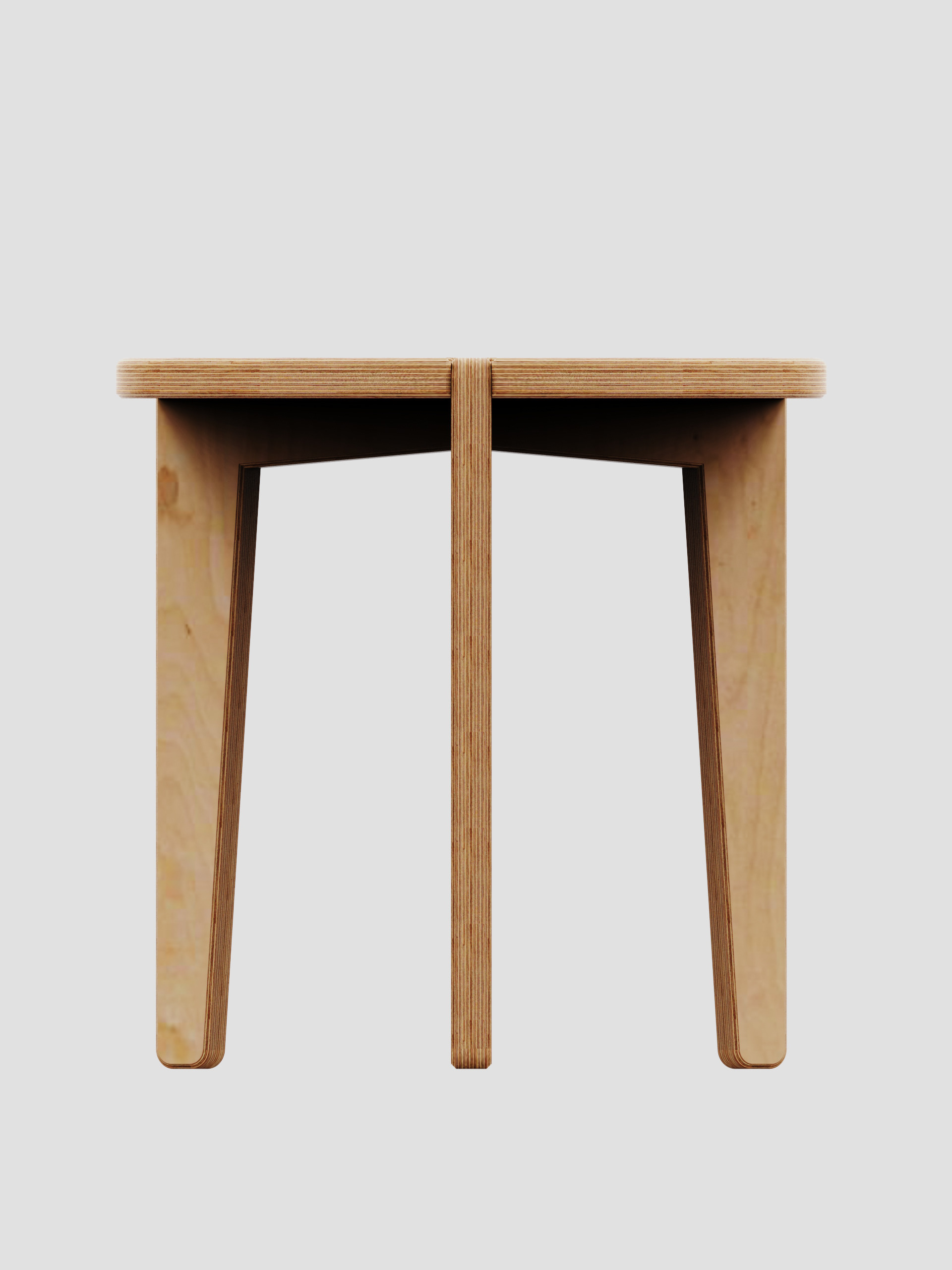 Orthographic Rendering
