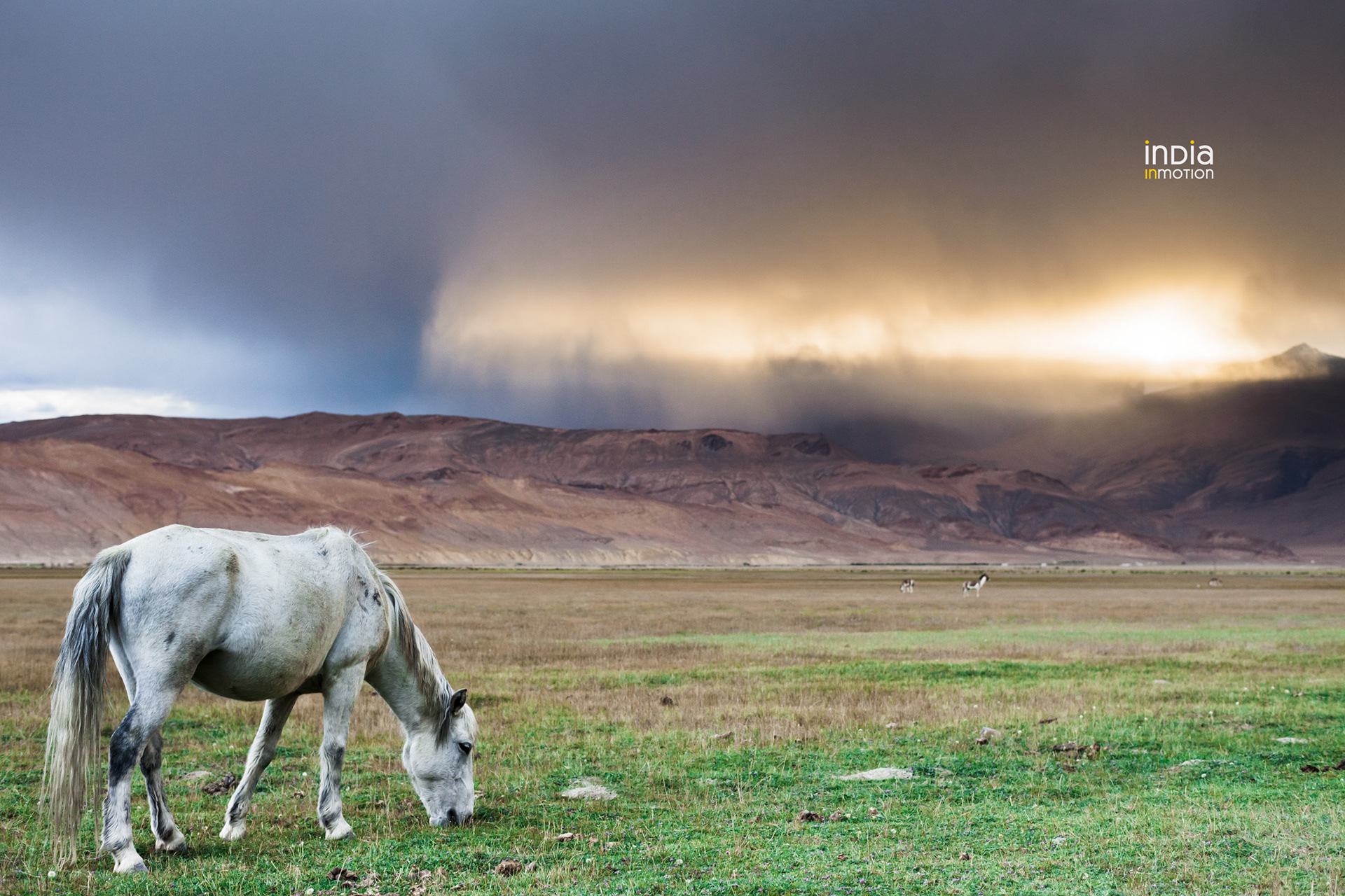 A bolt from heaven. Evening light at Hanle, Ladakh