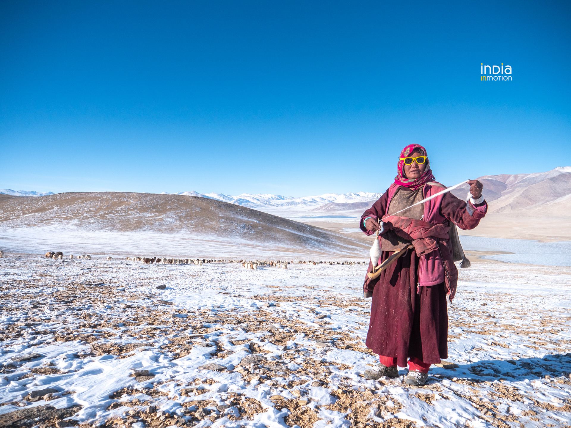 A Changpa woman spinning yarn while herding