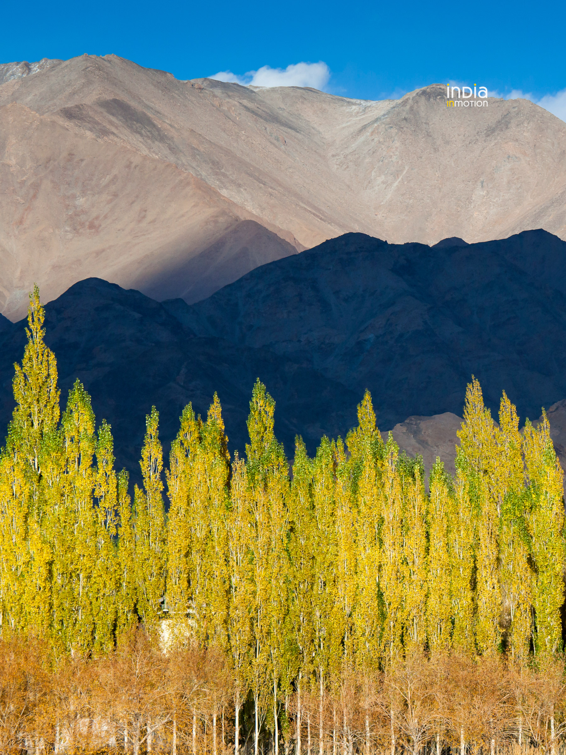 A play of light and shadow in Ladakh