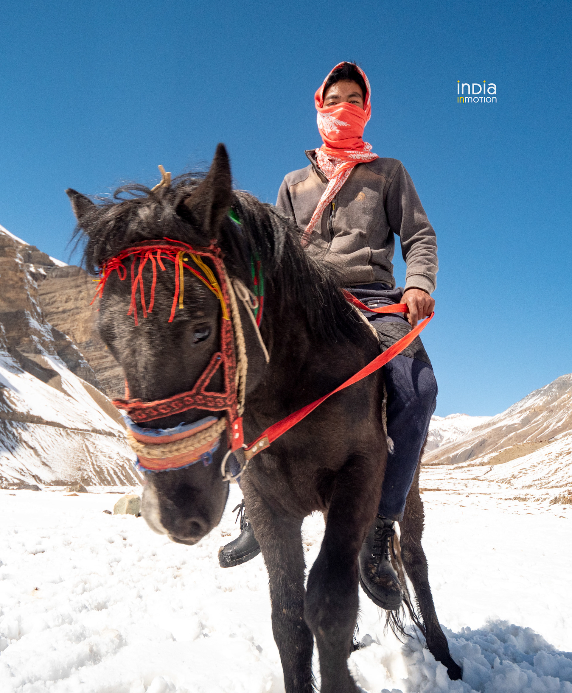 The horse masters of Pin Valley