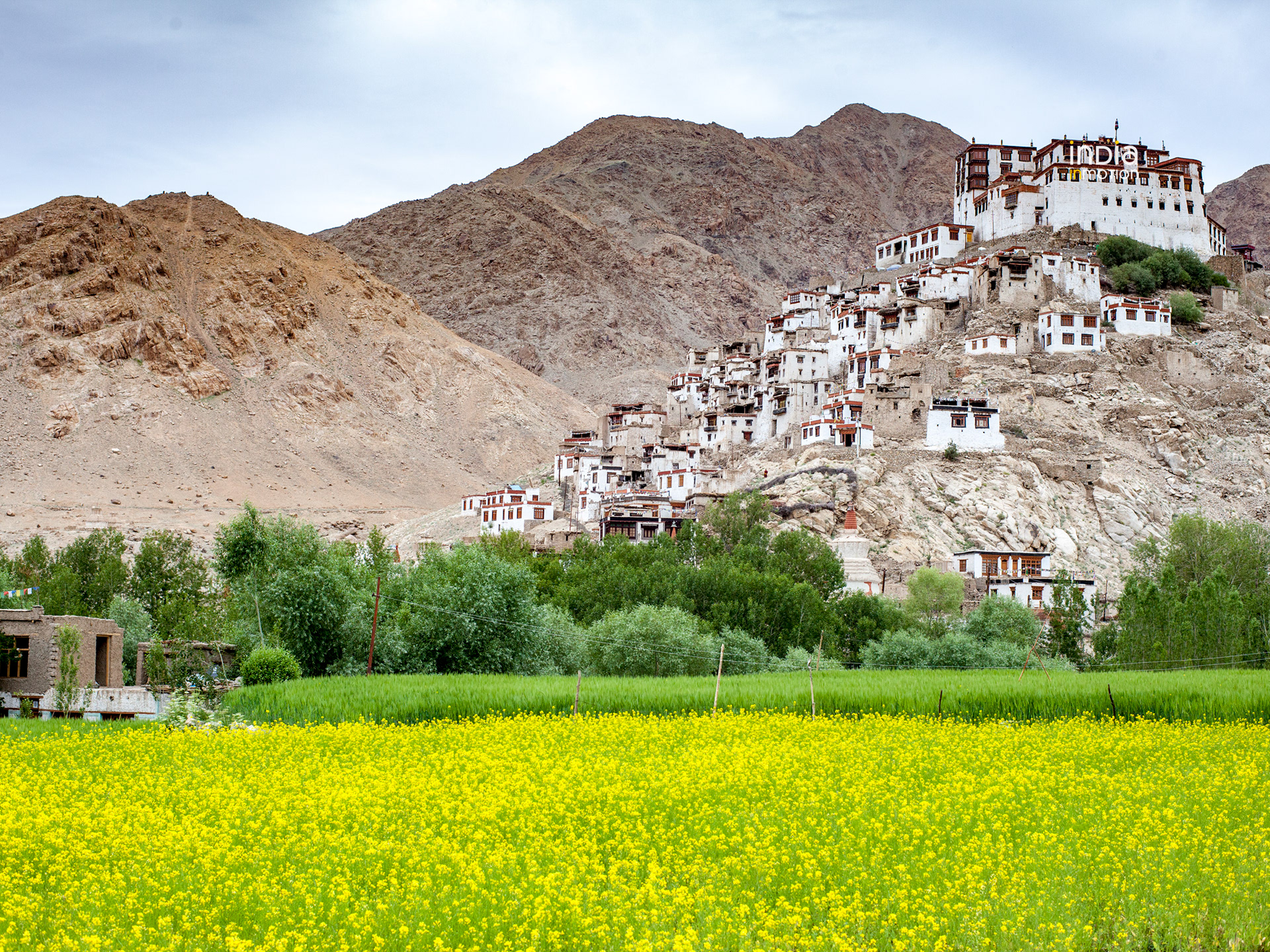 Chemdey Monastery in Summer