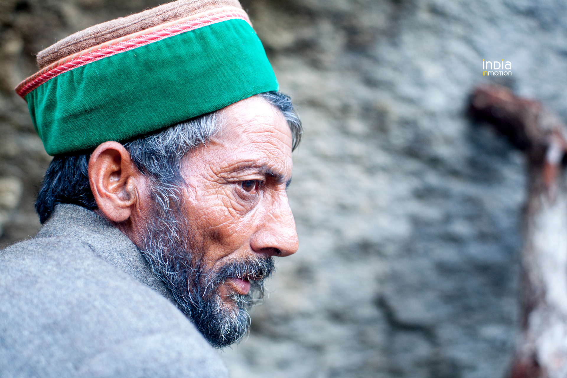 Portrait of a Gaddi Shepherd