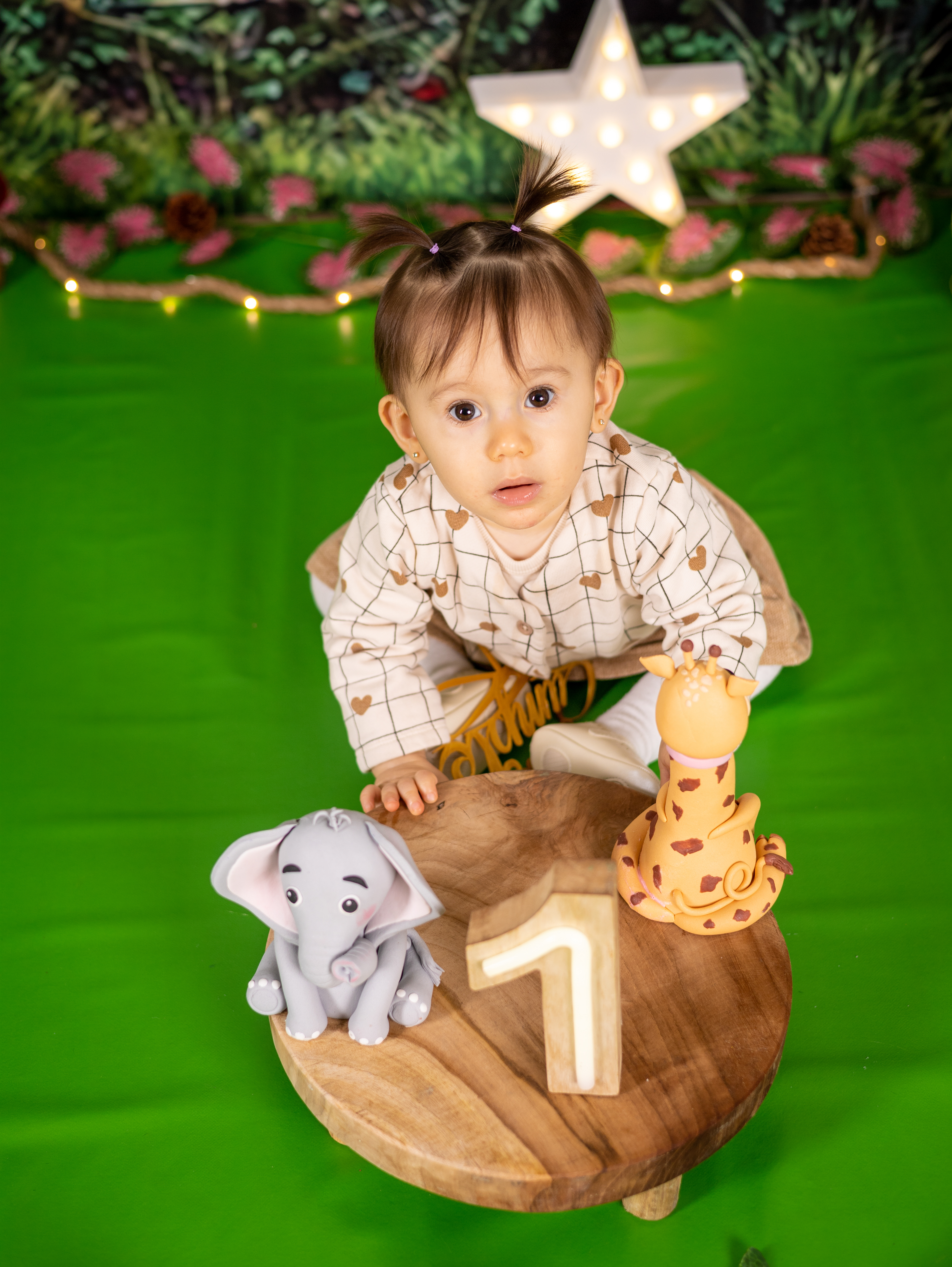 Sofía Cumple 11
