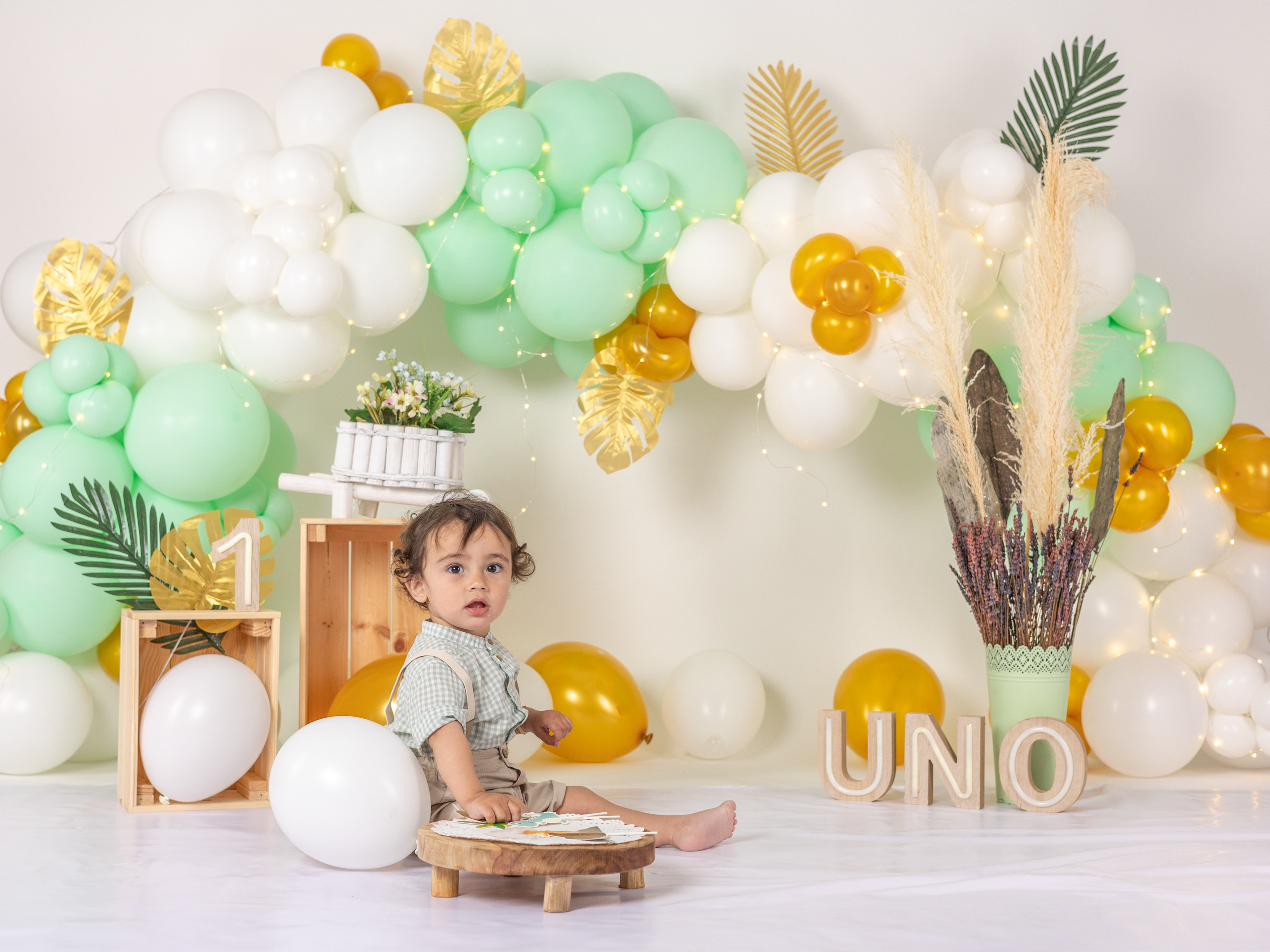Theo 01
