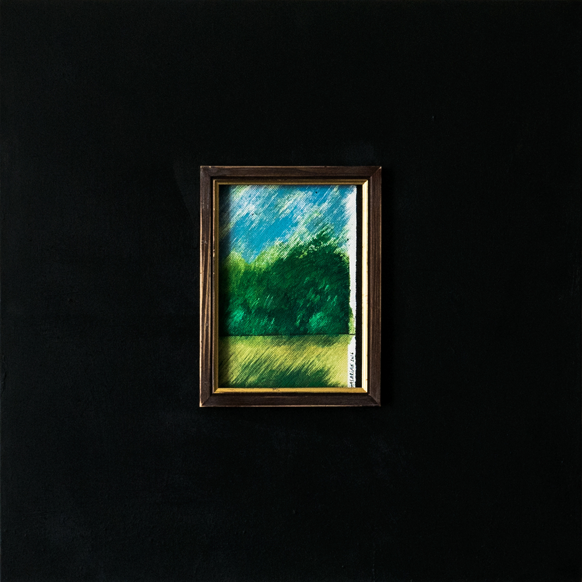 Noir paysage, 2016