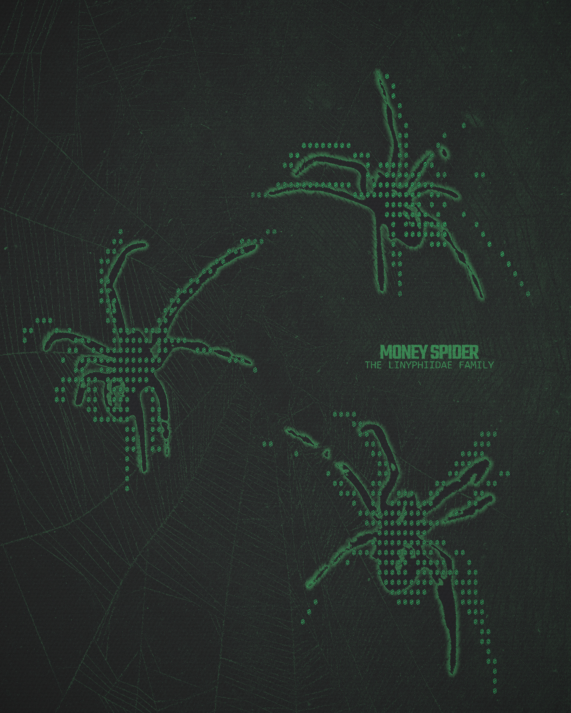 Money Spider Inspired Design