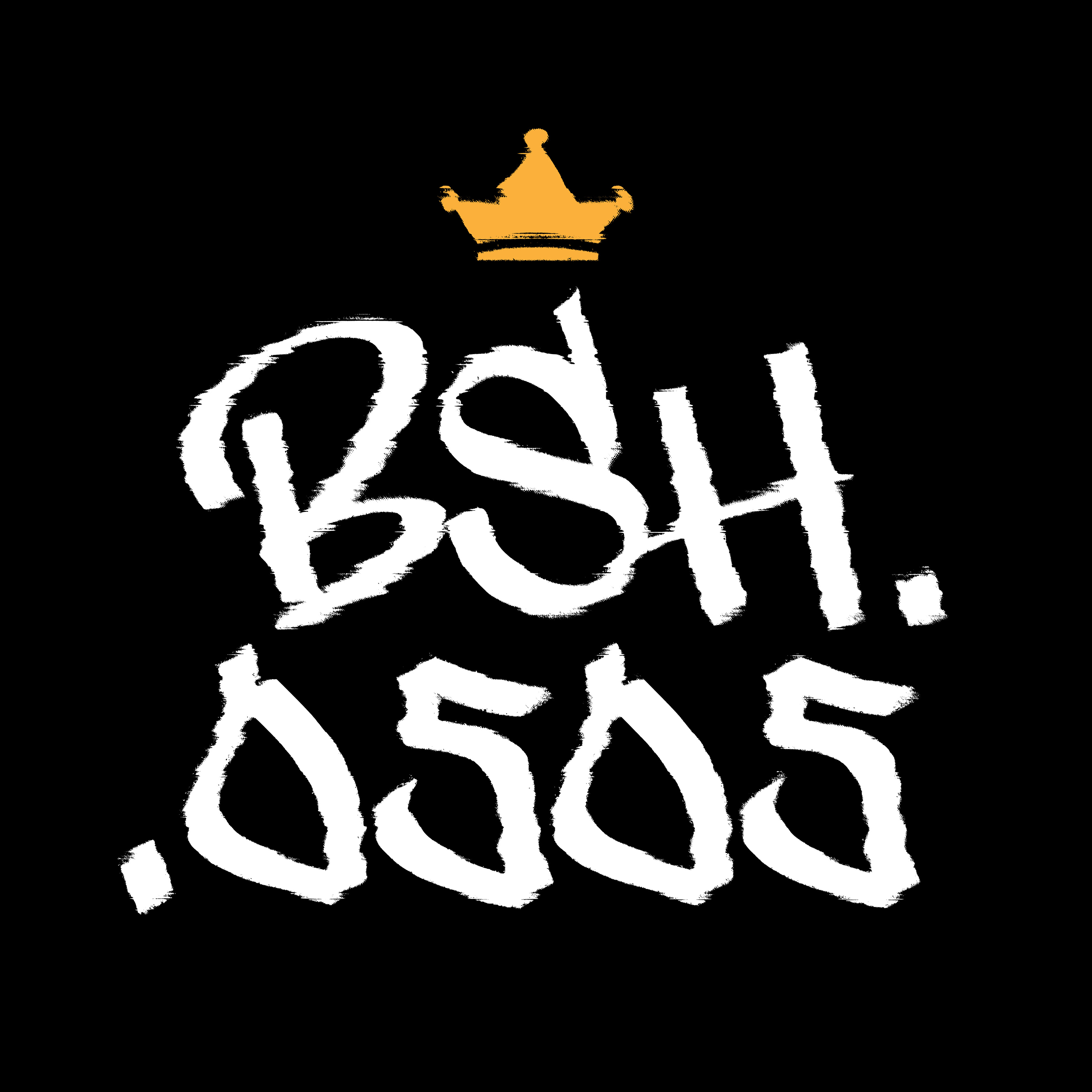 BSH (DJ Logo)