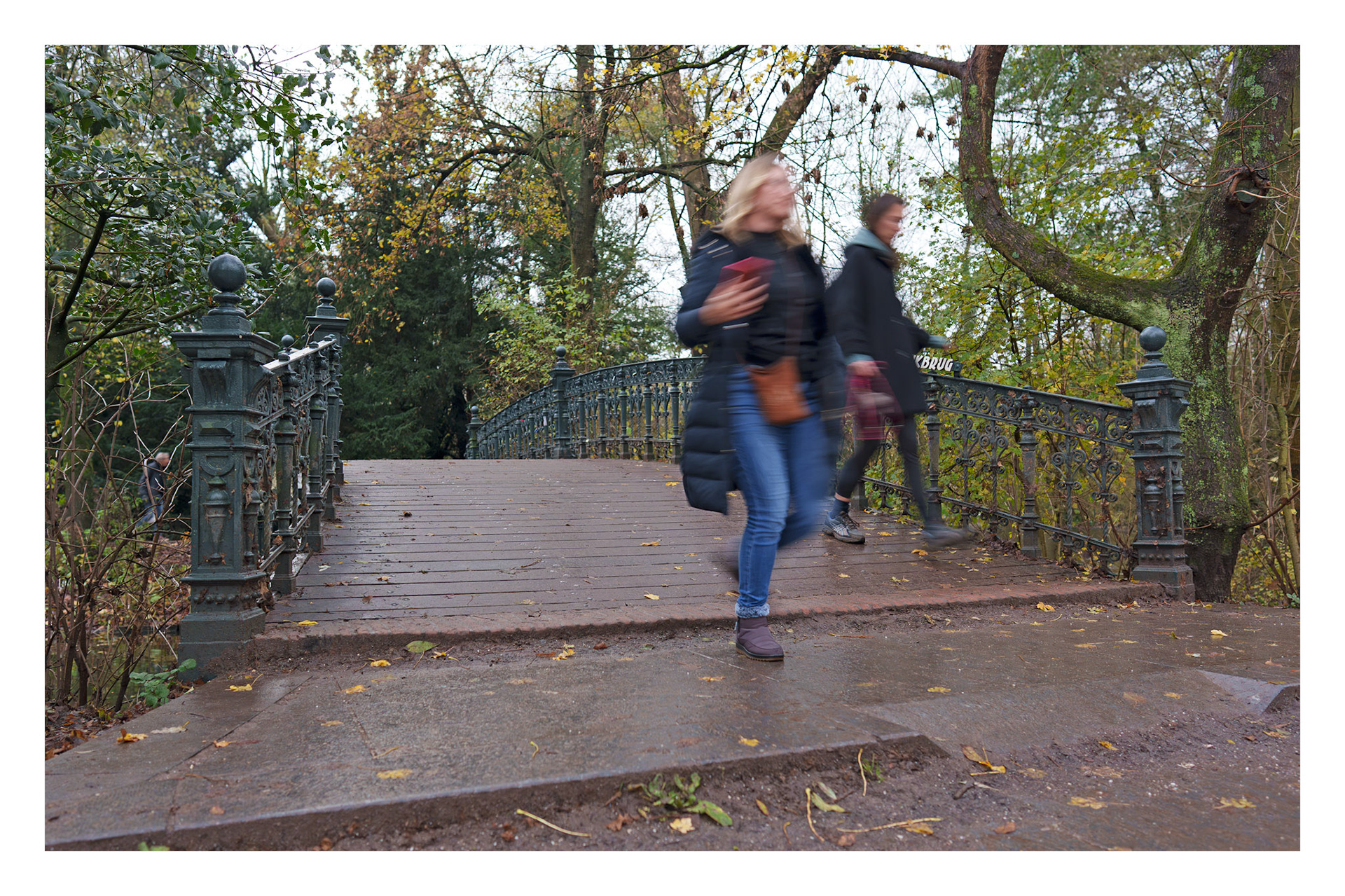 Vondelpark met 24 mm  F 1,4 GM  Sony Lens  op F2.8 en 1/15 sec met ISO 800