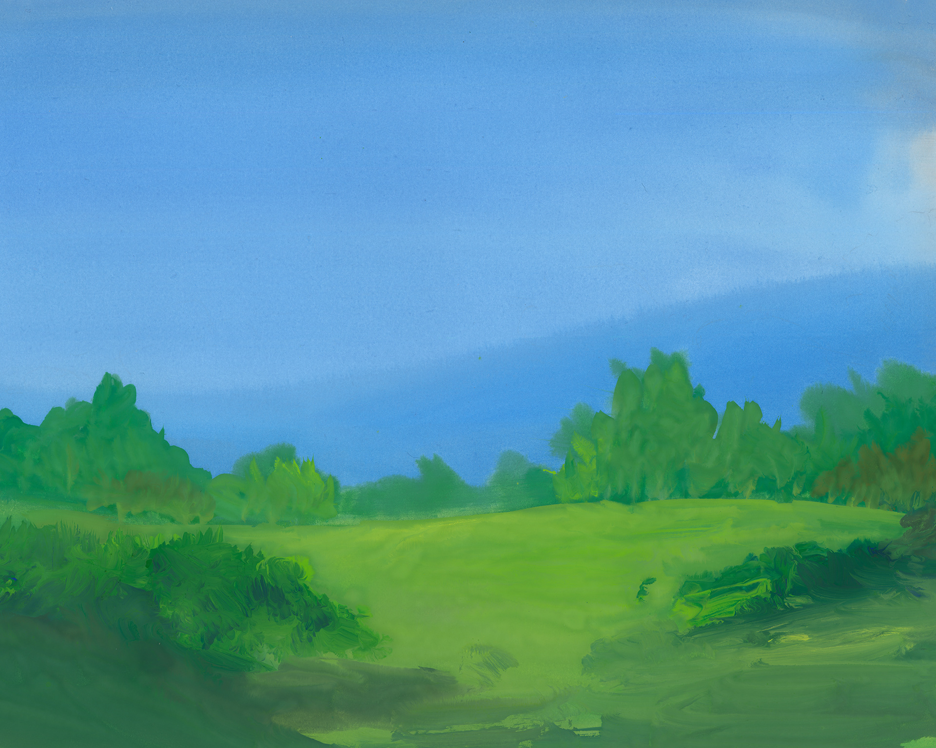 A misty green field, Green Mountains, VT.