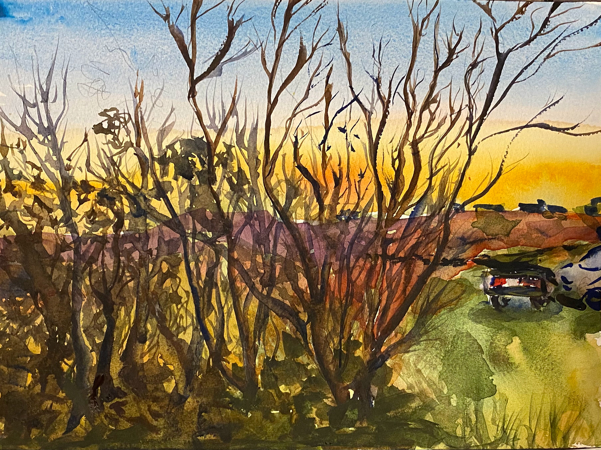 Vetrartré/Winter trees