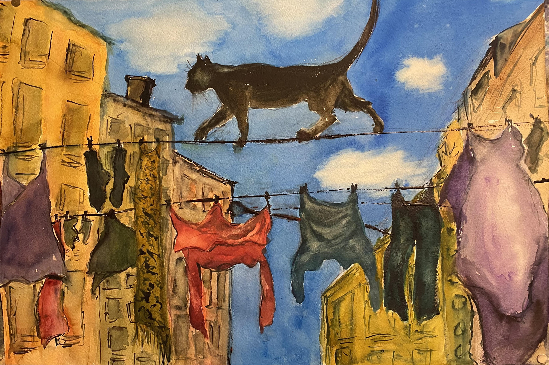 Kötturinn á snúrunni/Catwalk