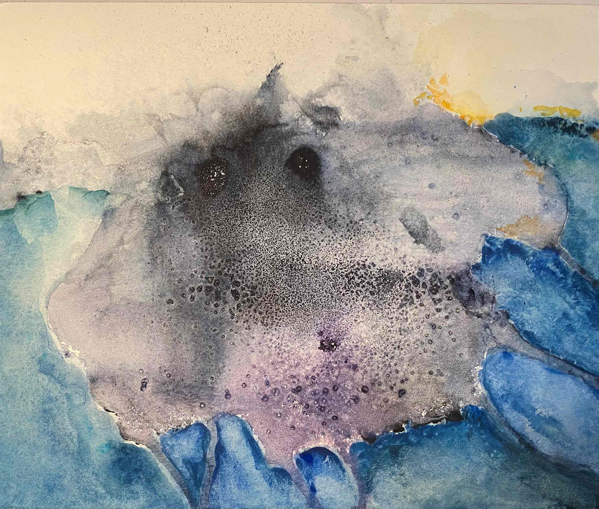 Sjóskepna/Sea creature